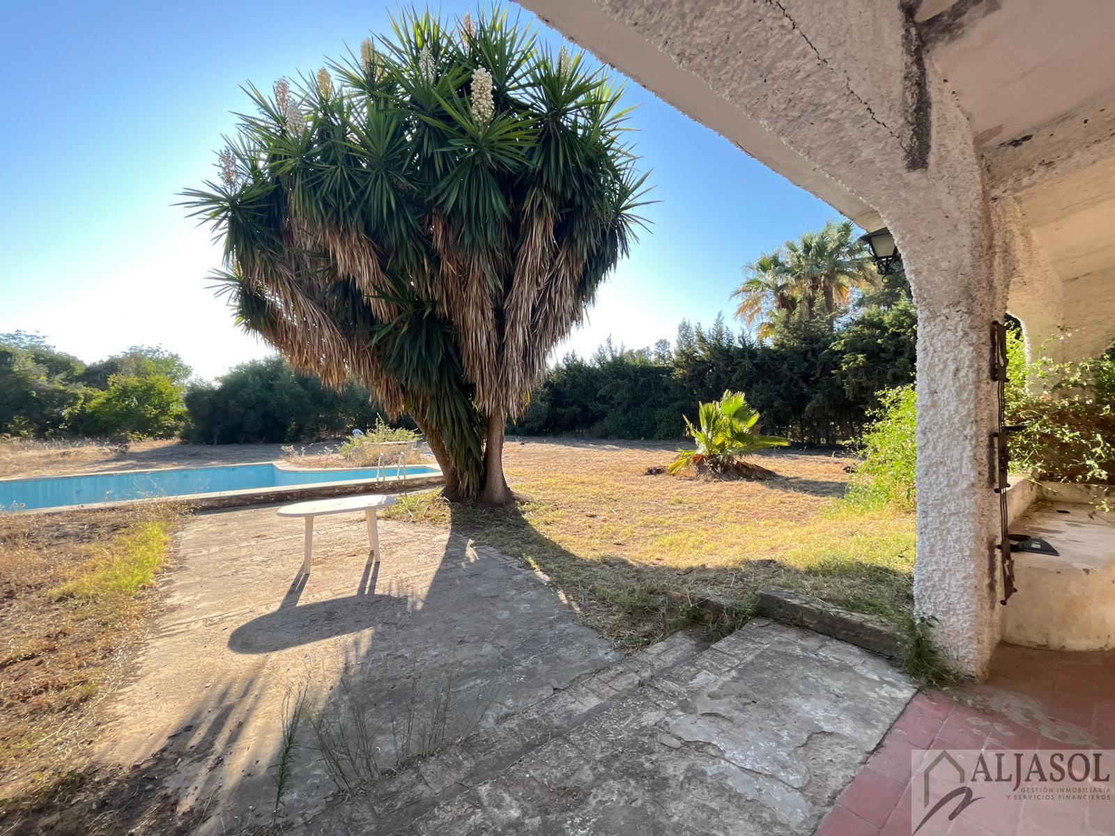 Venta de chalet en Palomares del Río