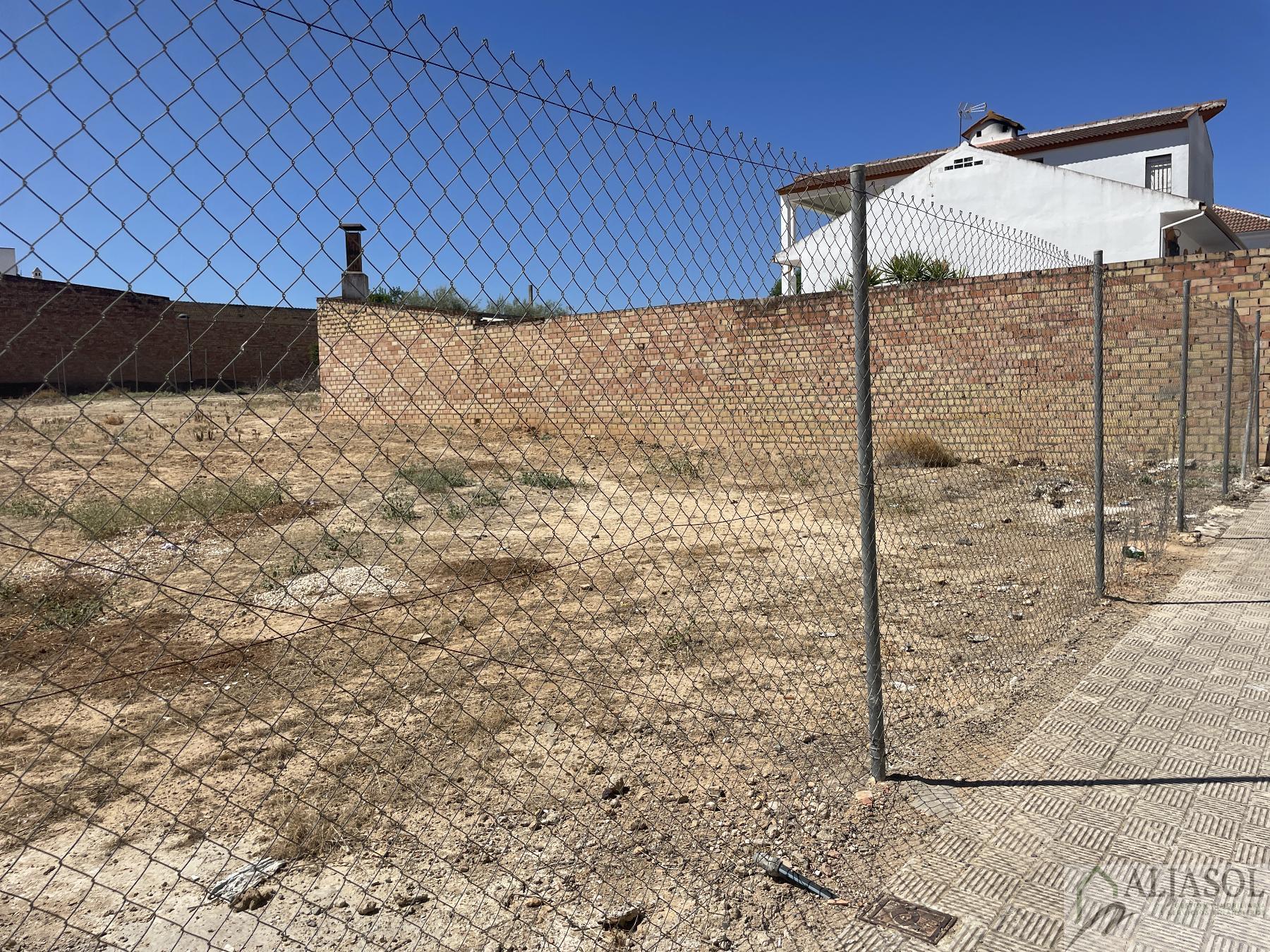 Venta de terreno en Bollullos de la Mitación
