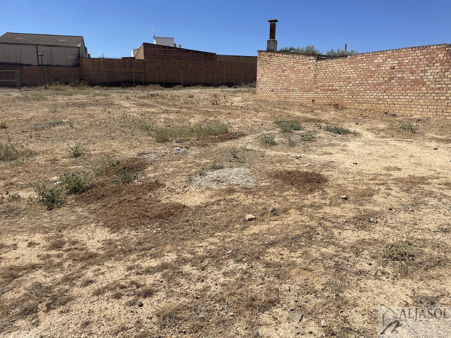 Venta de terreno en Bollullos de la Mitación