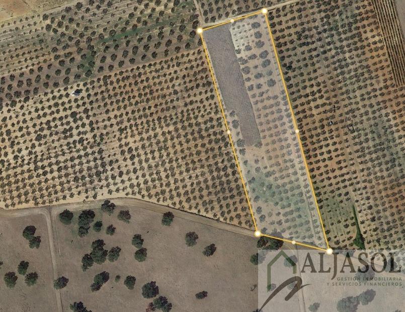 For sale of rural property in Chucena