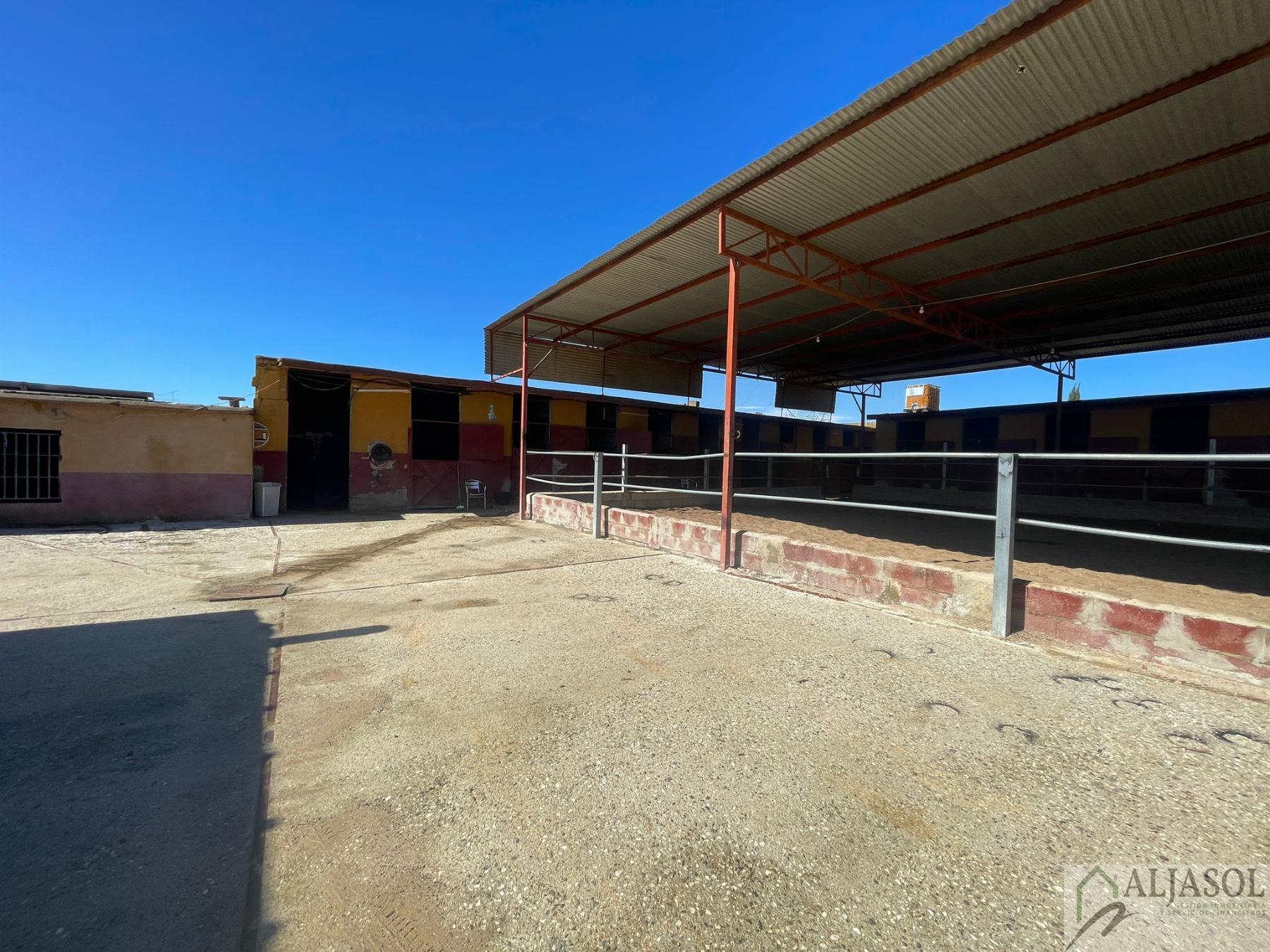 Venta de piso en Valencina de la Concepción