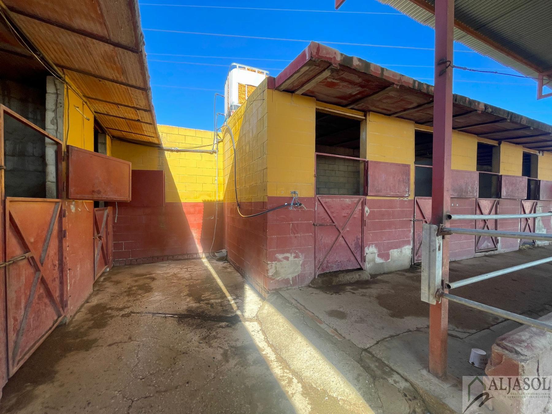 Venta de piso en Valencina de la Concepción
