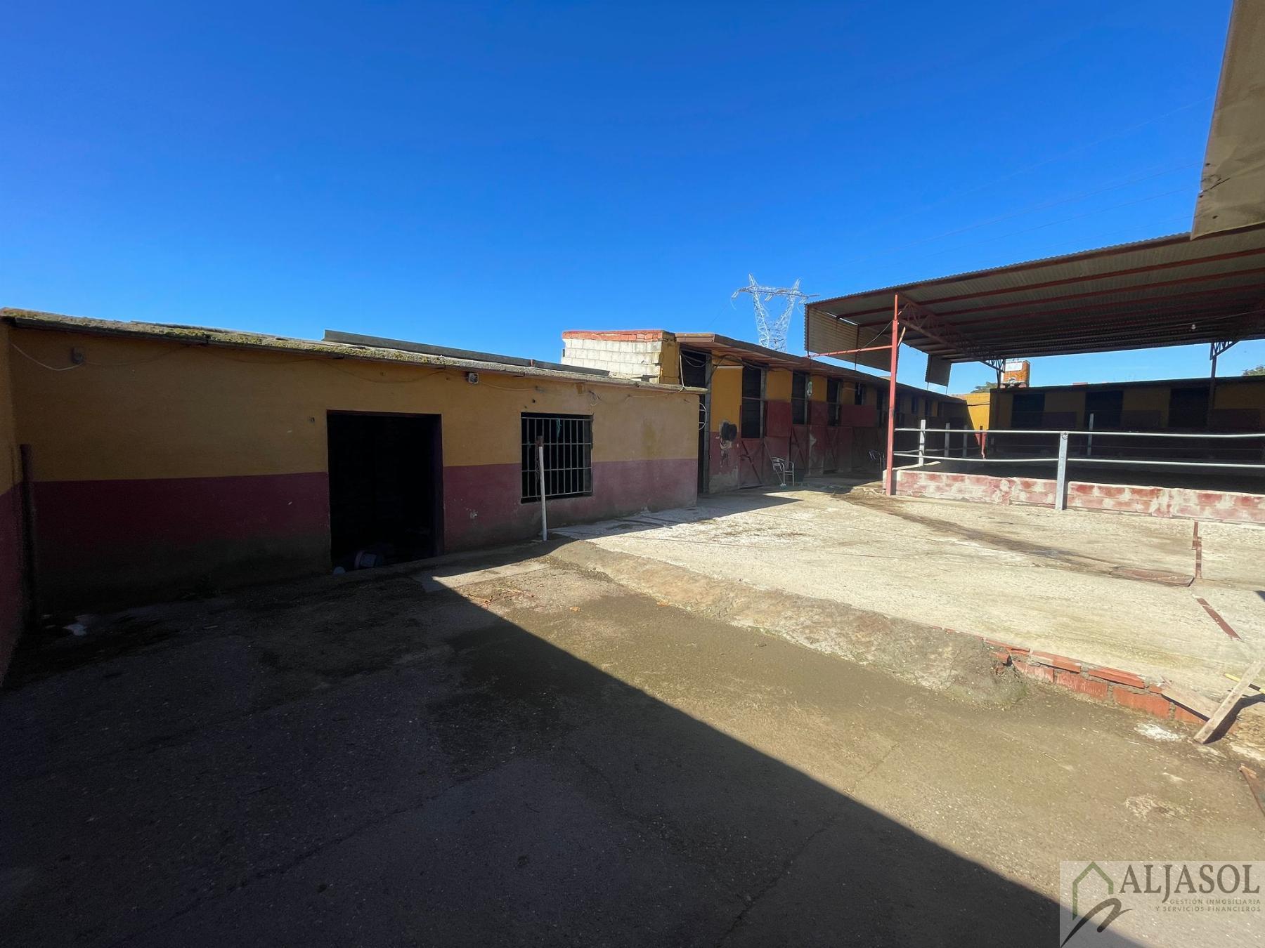 Venta de piso en Valencina de la Concepción