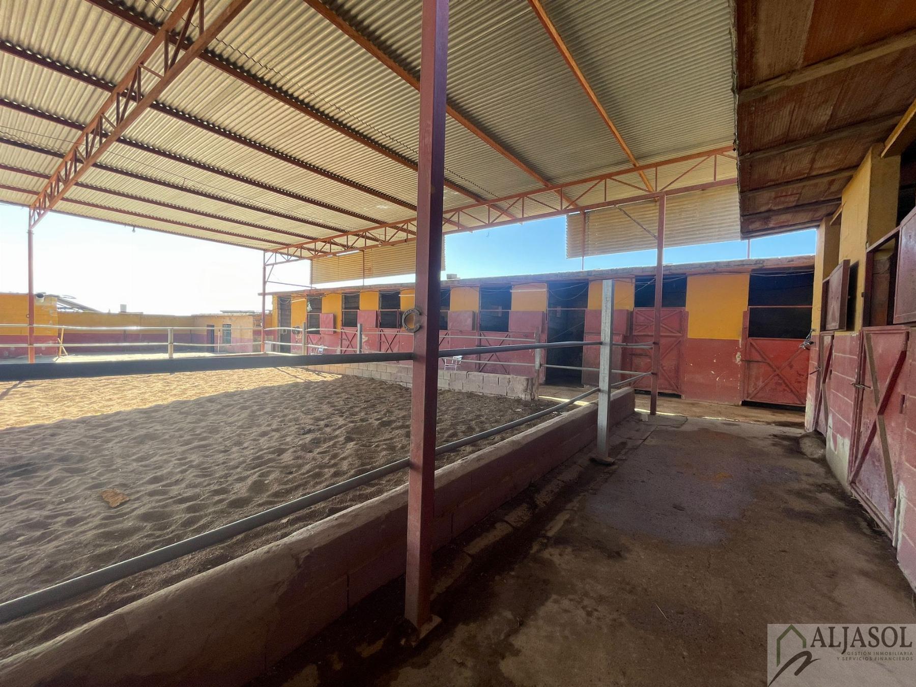 Venta de piso en Valencina de la Concepción