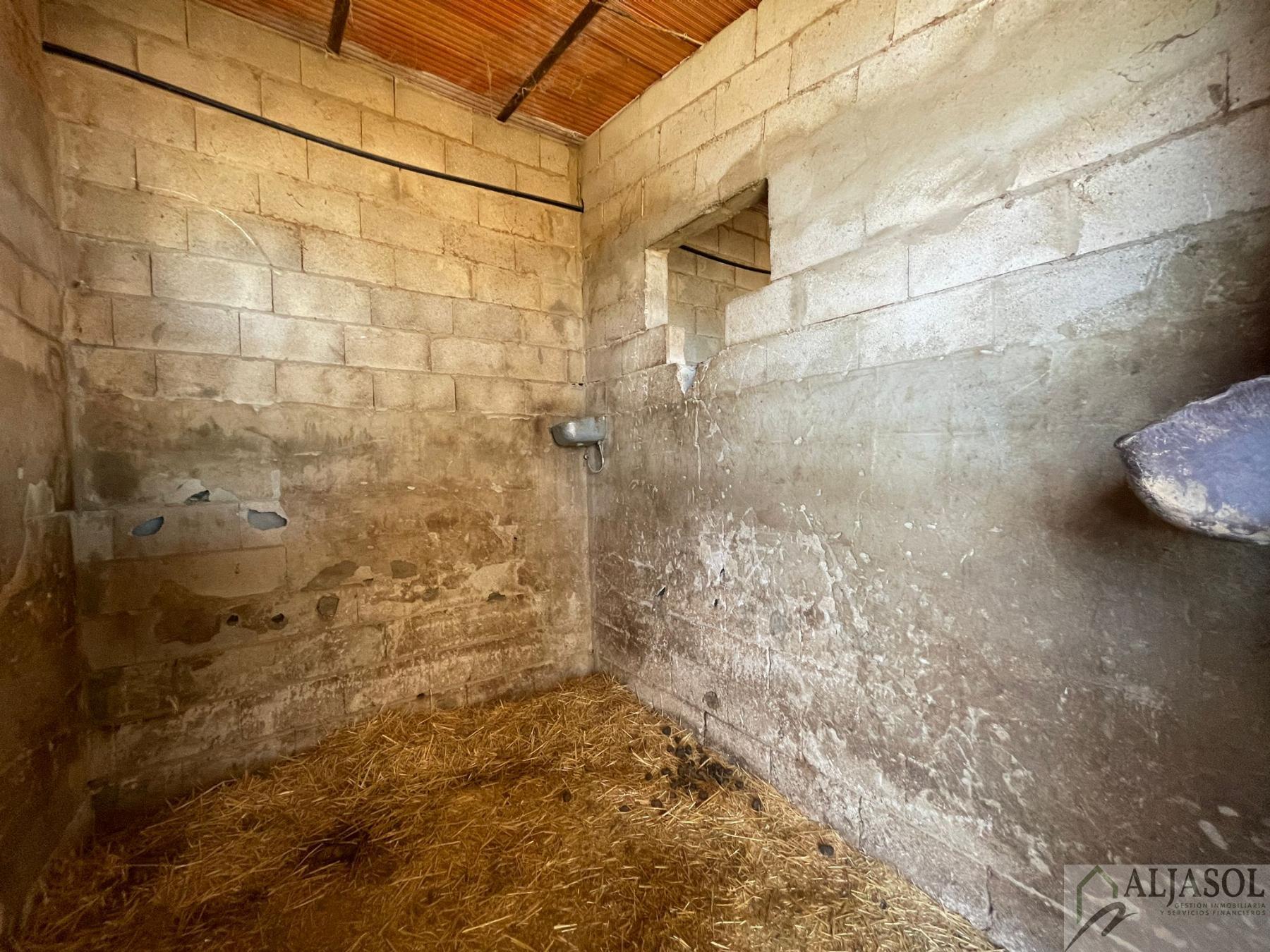 Venta de piso en Valencina de la Concepción