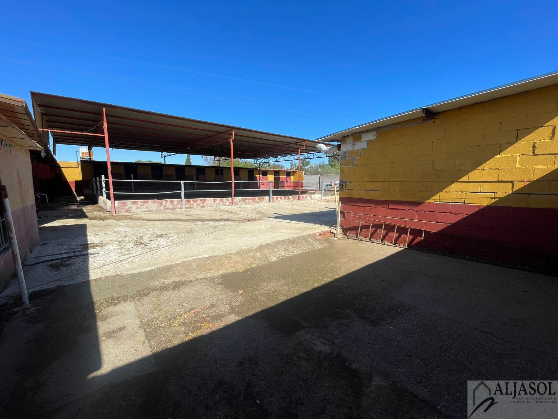 Venta de piso en Valencina de la Concepción