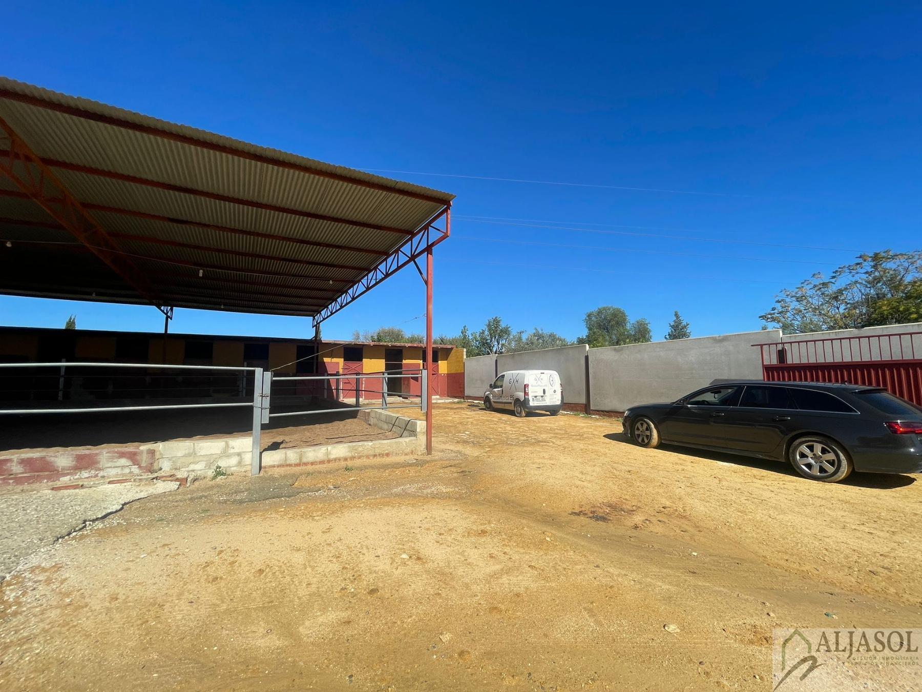 Venta de piso en Valencina de la Concepción