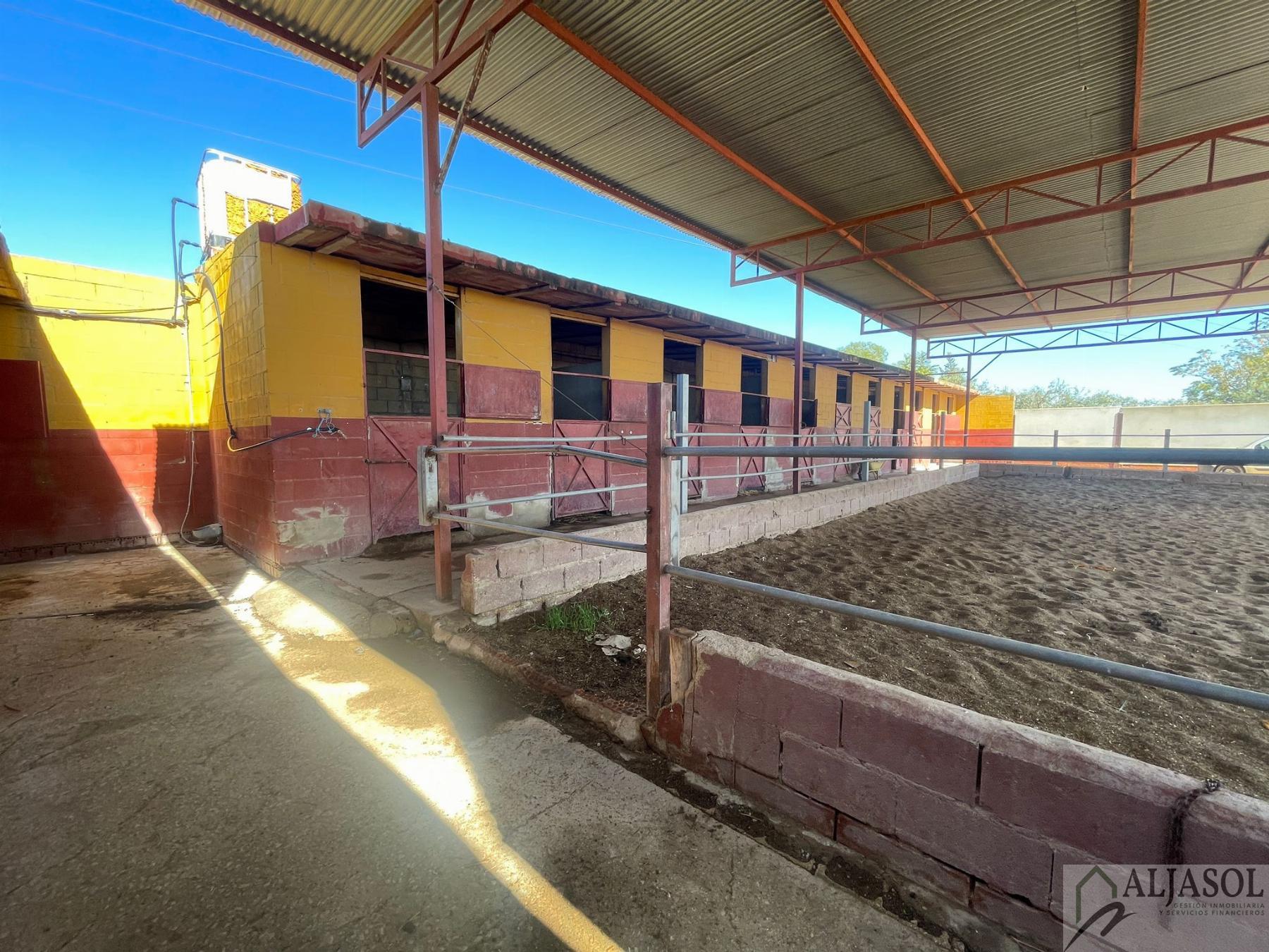 For sale of flat in Valencina de la Concepción