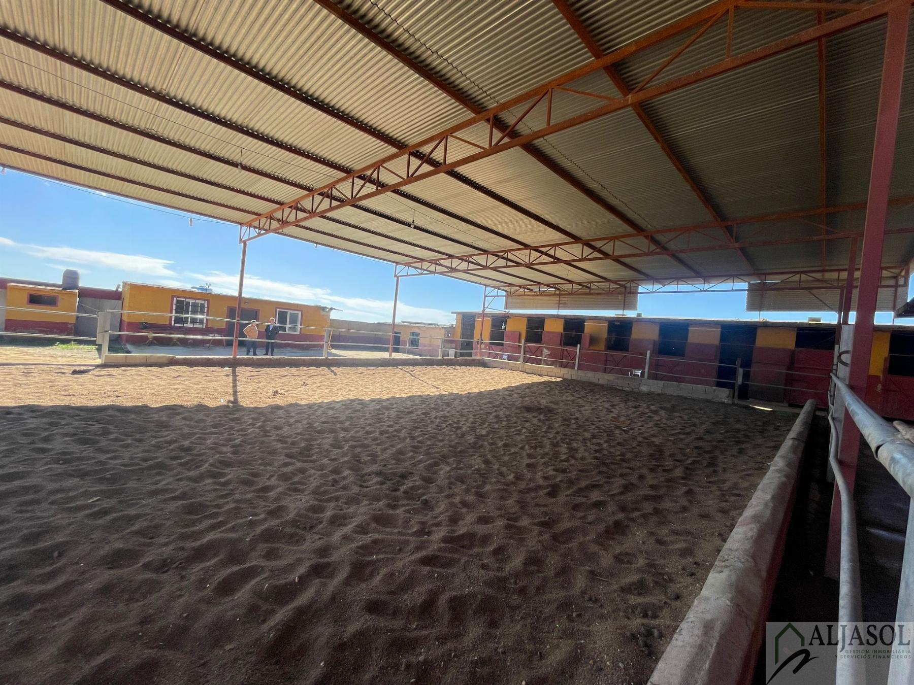 Venta de piso en Valencina de la Concepción