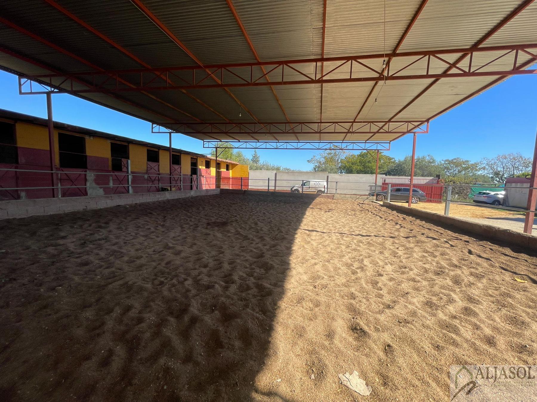Venta de piso en Valencina de la Concepción
