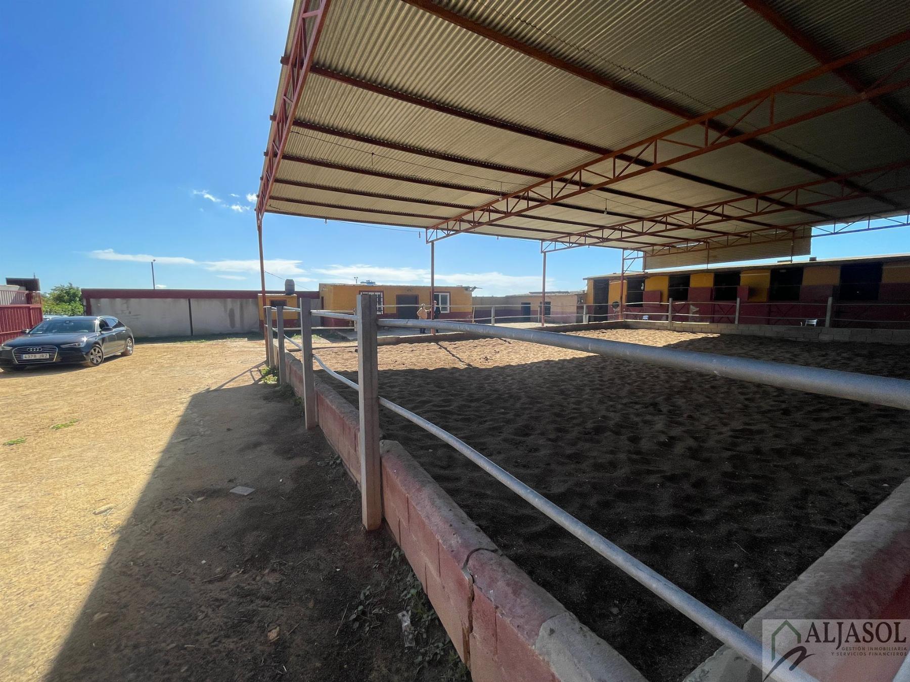 Venta de piso en Valencina de la Concepción