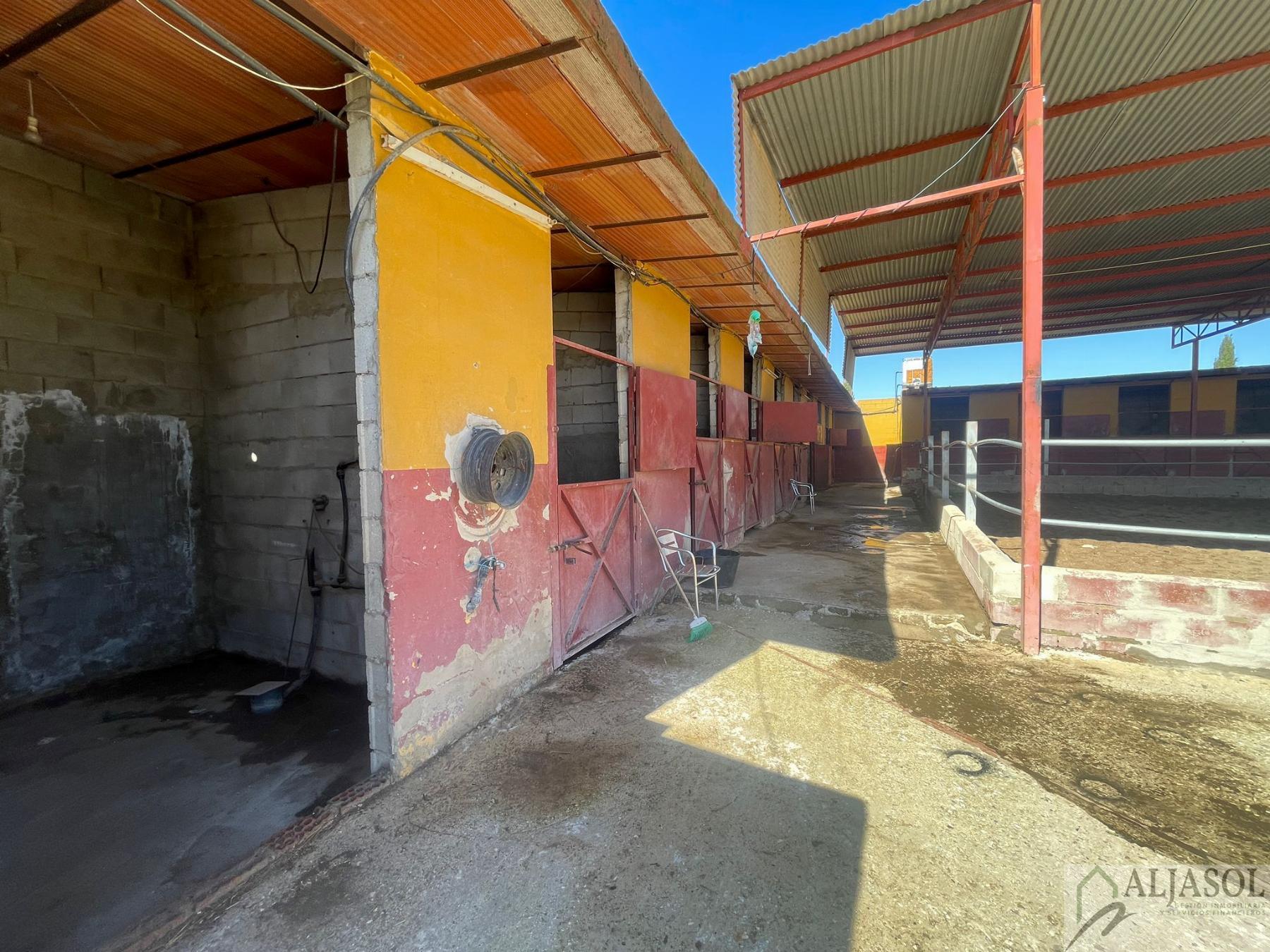 Venta de piso en Valencina de la Concepción
