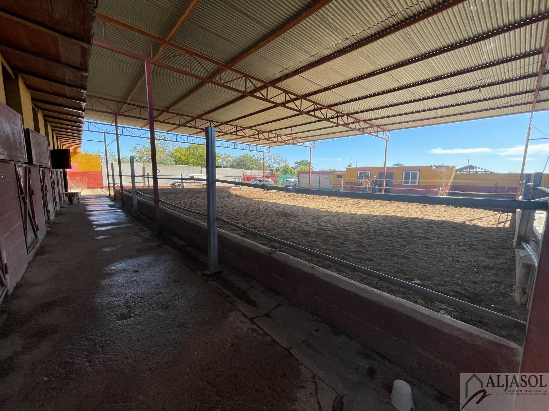 Venta de piso en Valencina de la Concepción