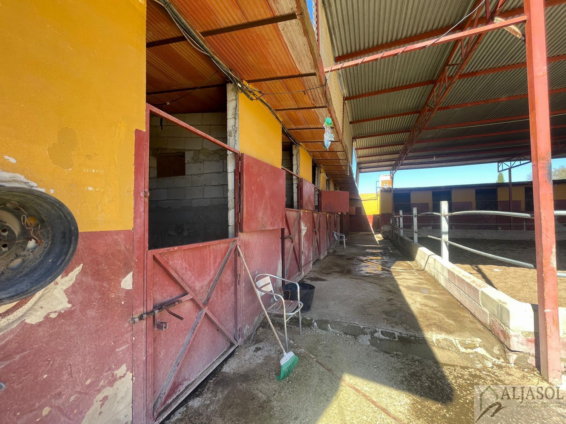 Venta de piso en Valencina de la Concepción