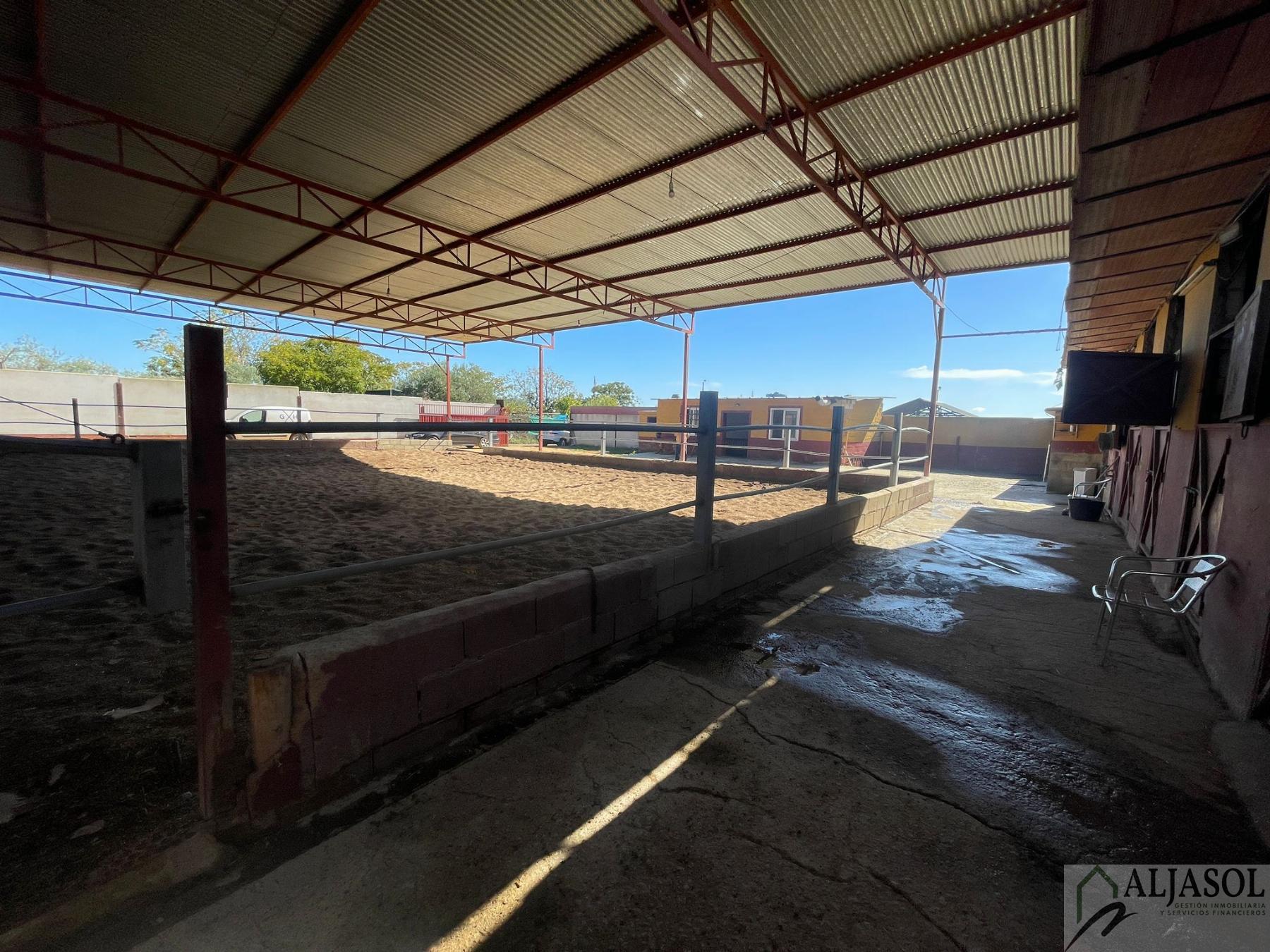 Venta de piso en Valencina de la Concepción