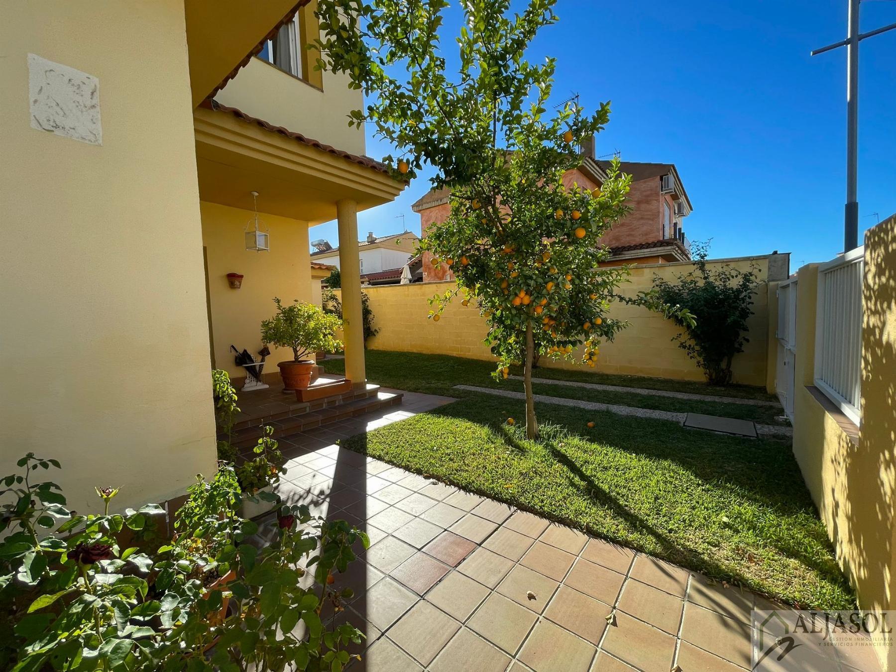 For sale of house in Salteras