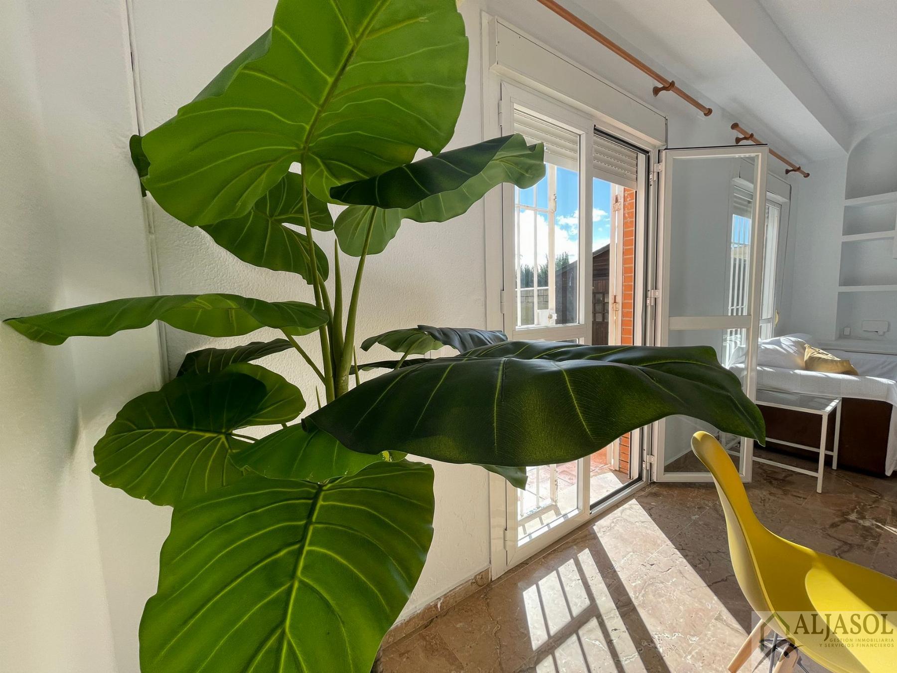 For sale of house in Almensilla