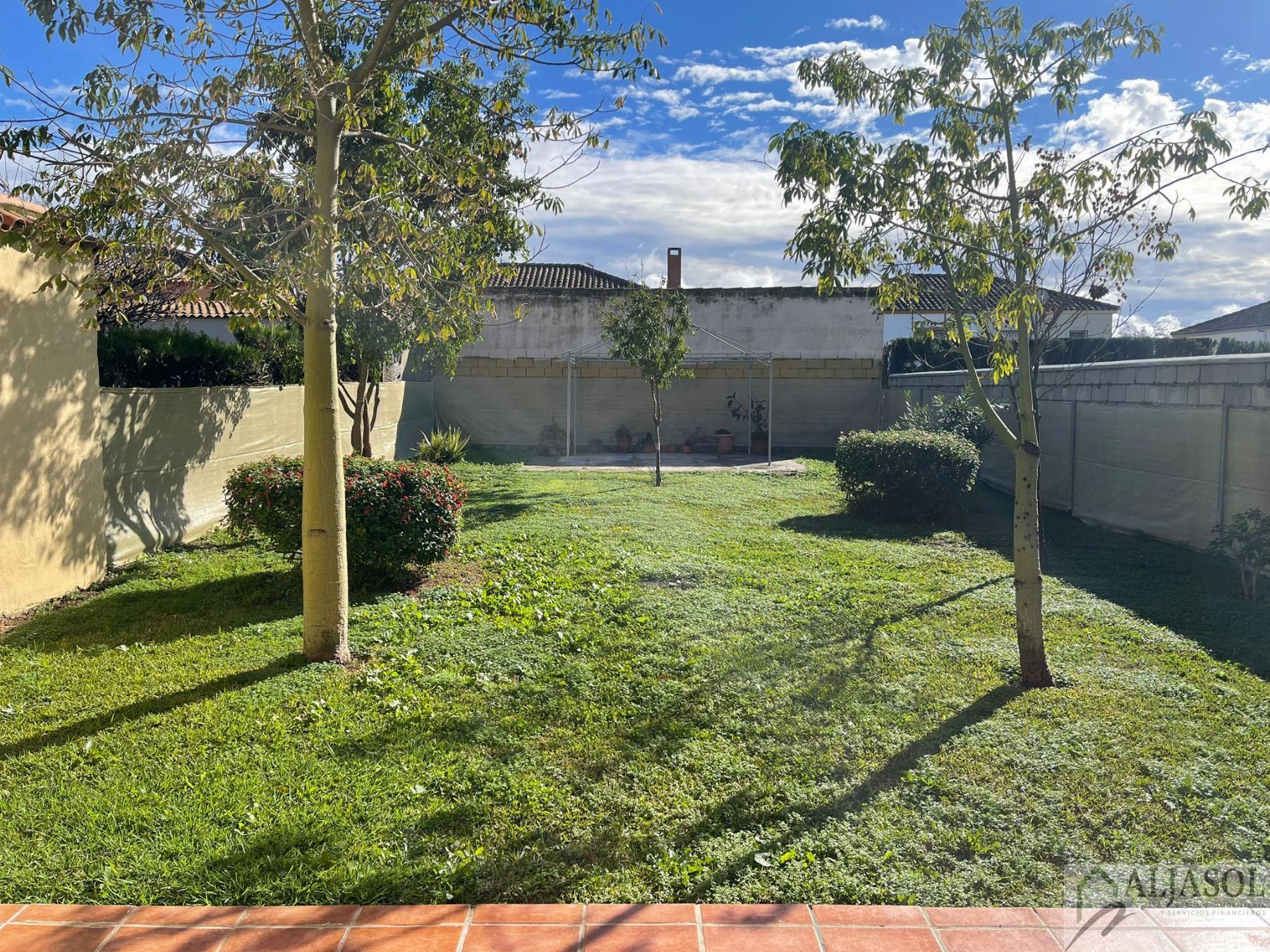For sale of house in Almensilla
