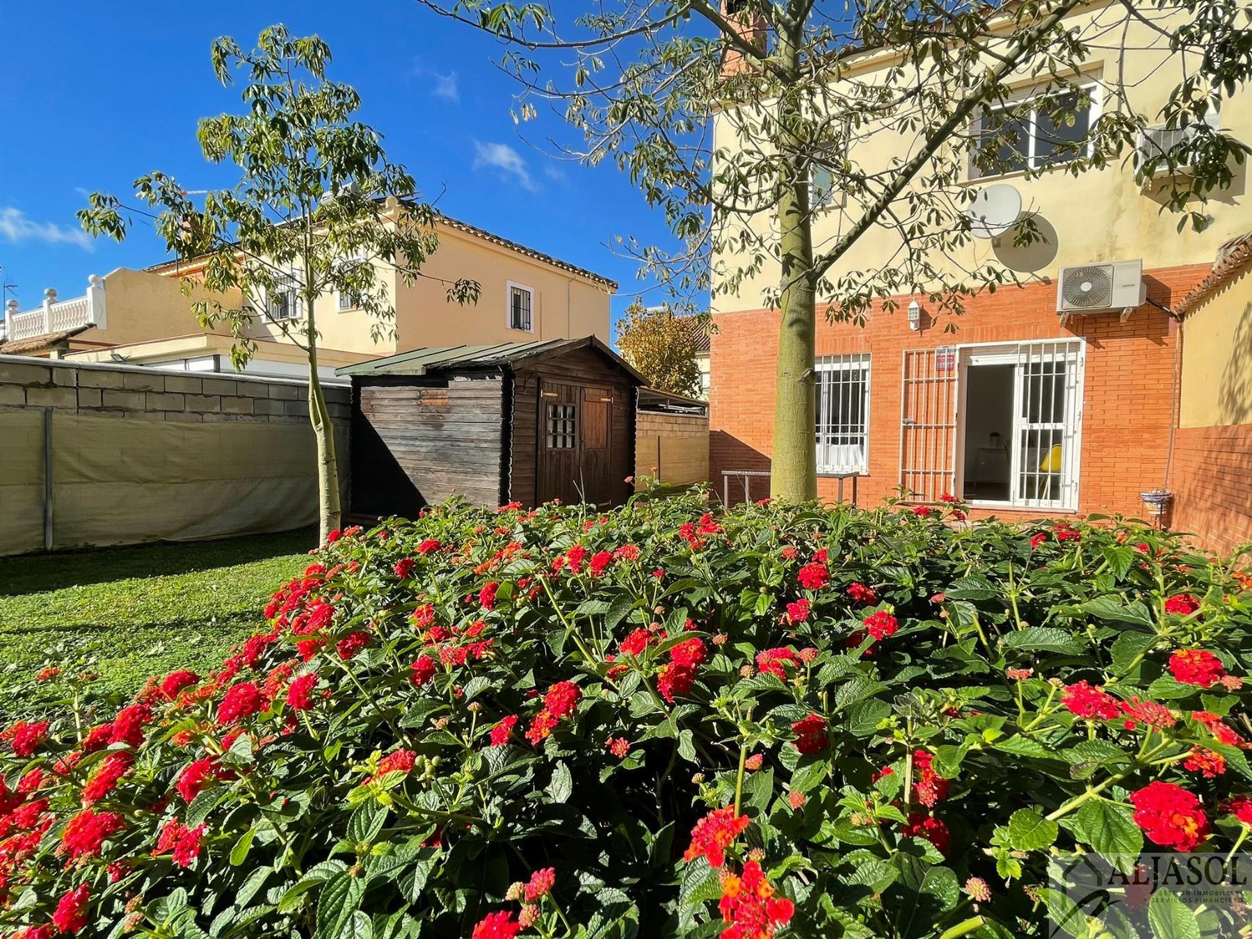 For sale of house in Almensilla