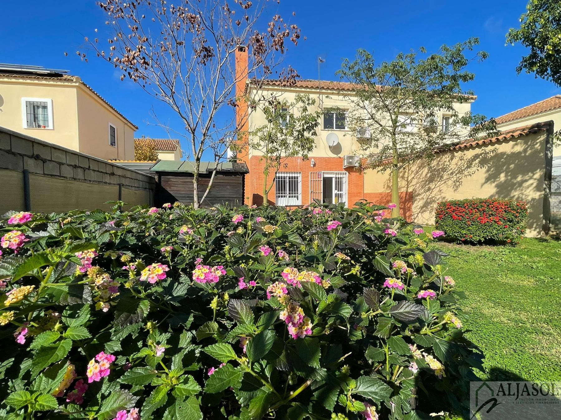For sale of house in Almensilla