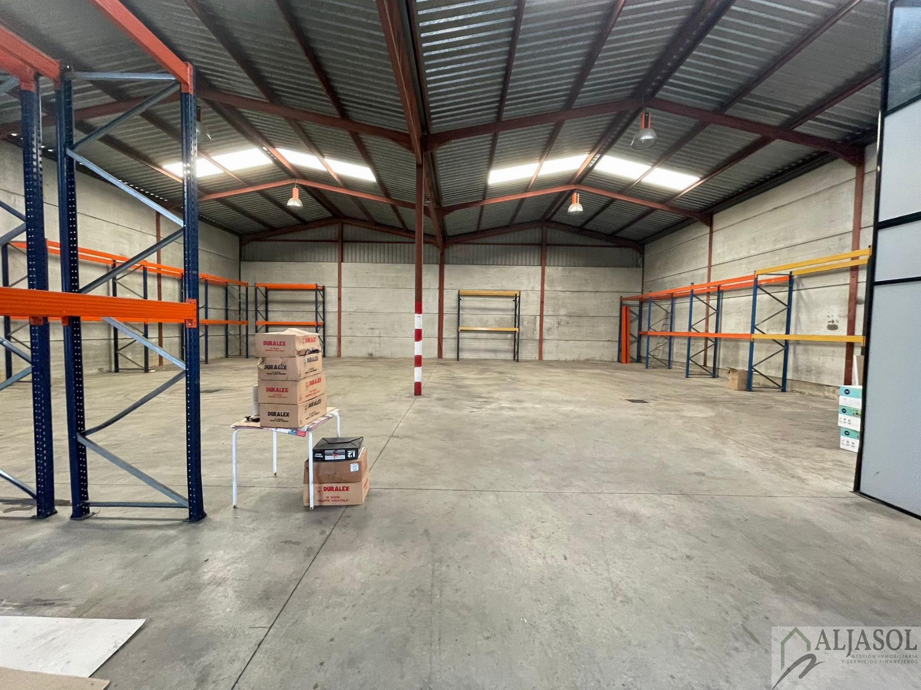 For rent of industrial plant/warehouse in Salteras