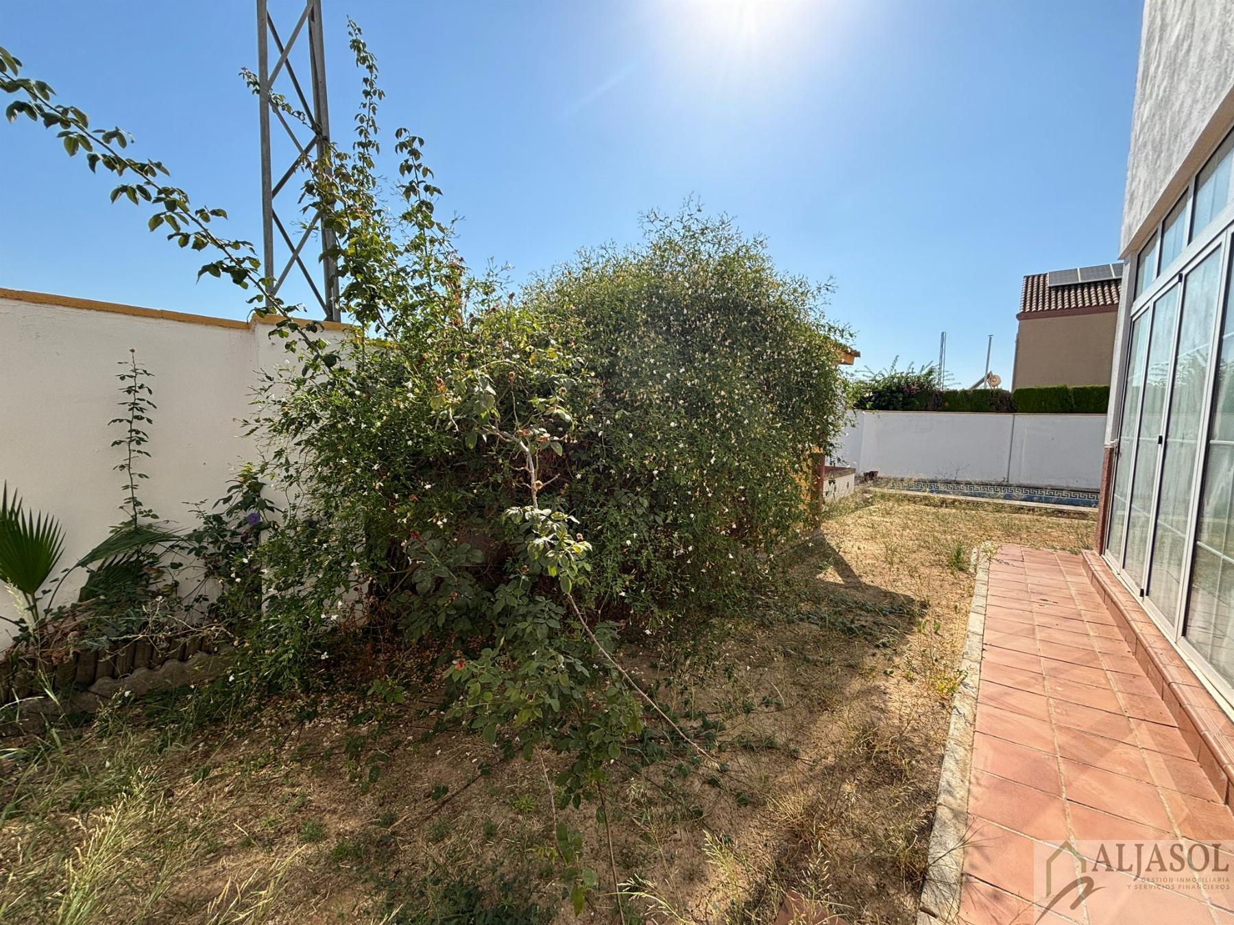 For sale of house in Salteras