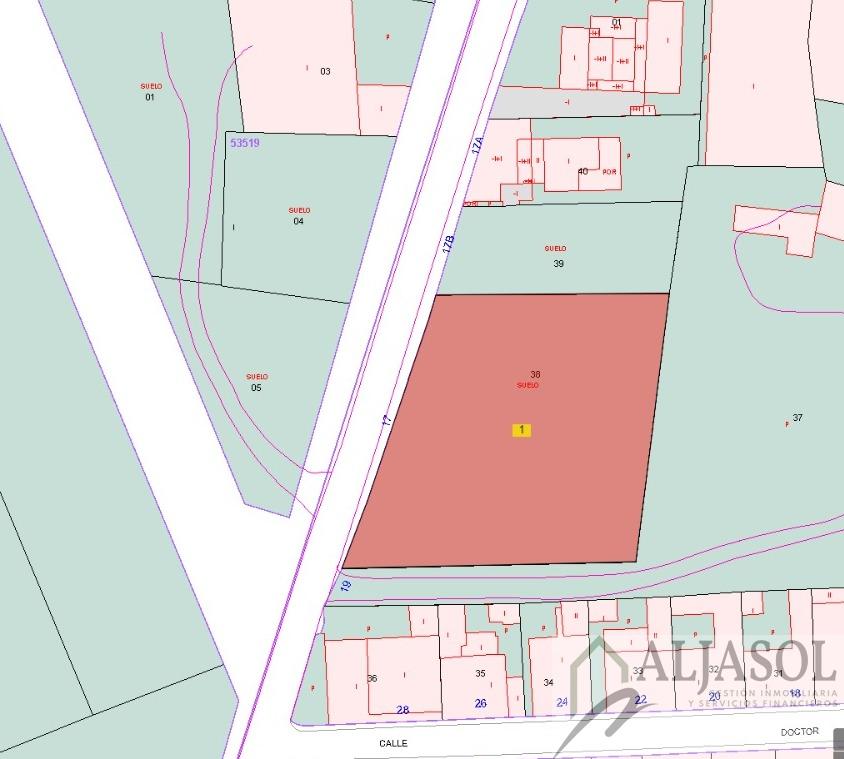 For sale of land in Salteras