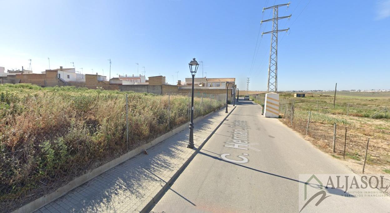 For sale of land in Salteras