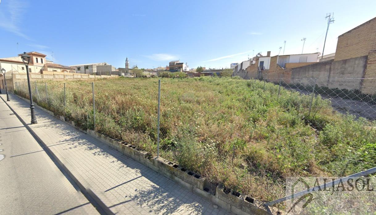 For sale of land in Salteras