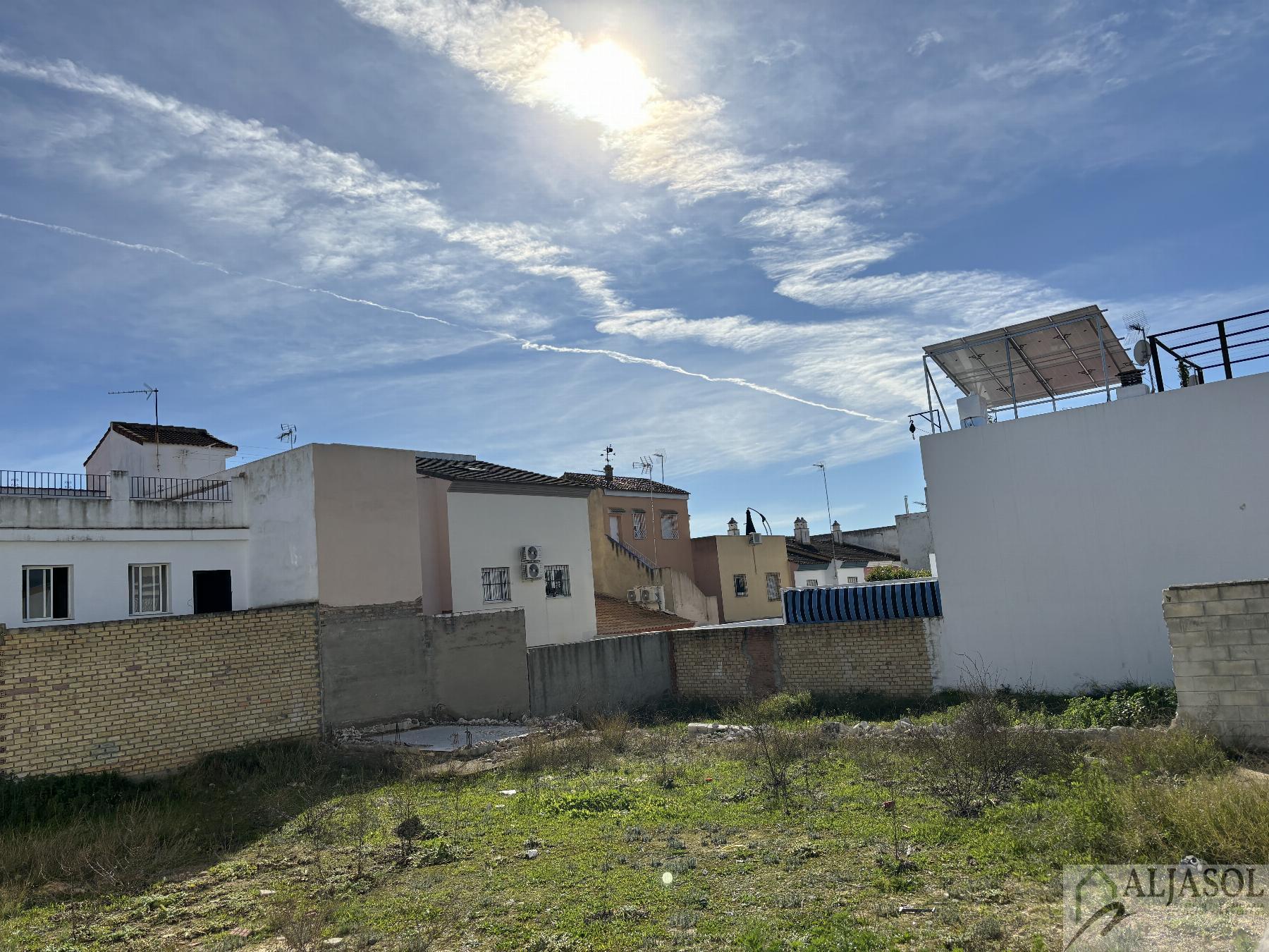 For sale of land in Gines