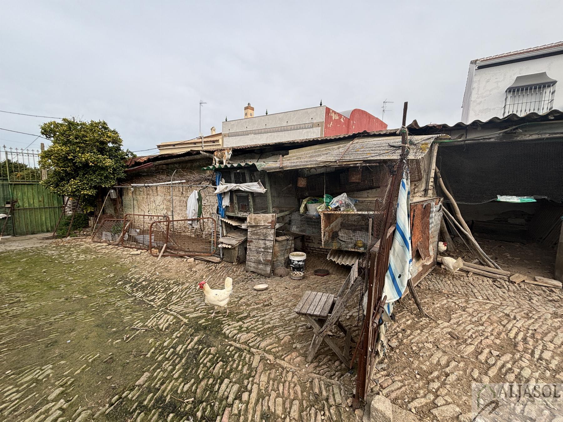 For sale of land in Salteras