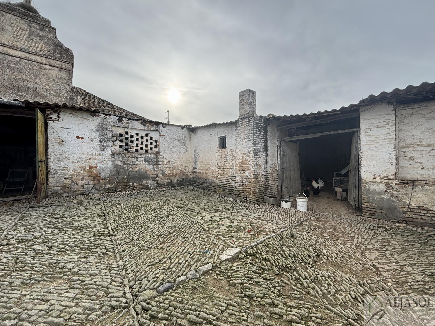 For sale of land in Salteras
