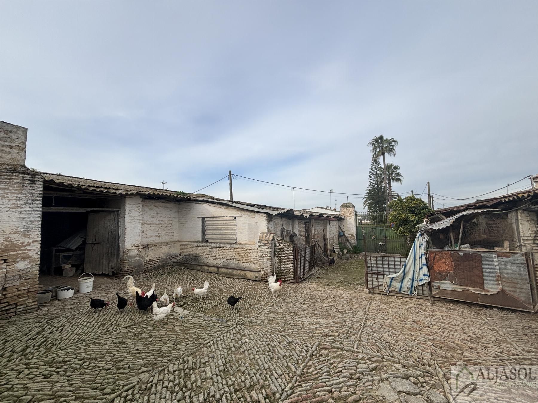 For sale of land in Salteras