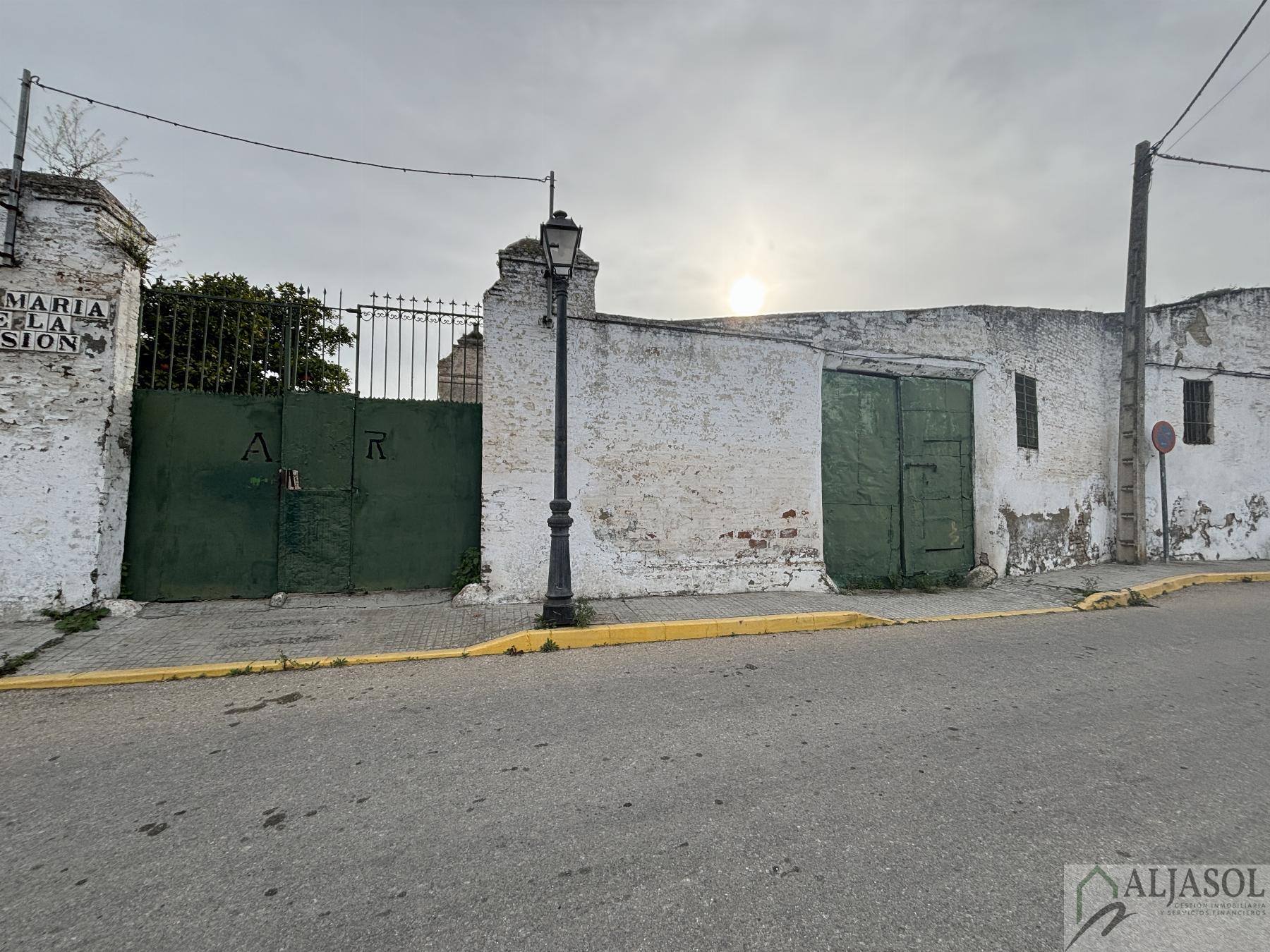 For sale of land in Salteras