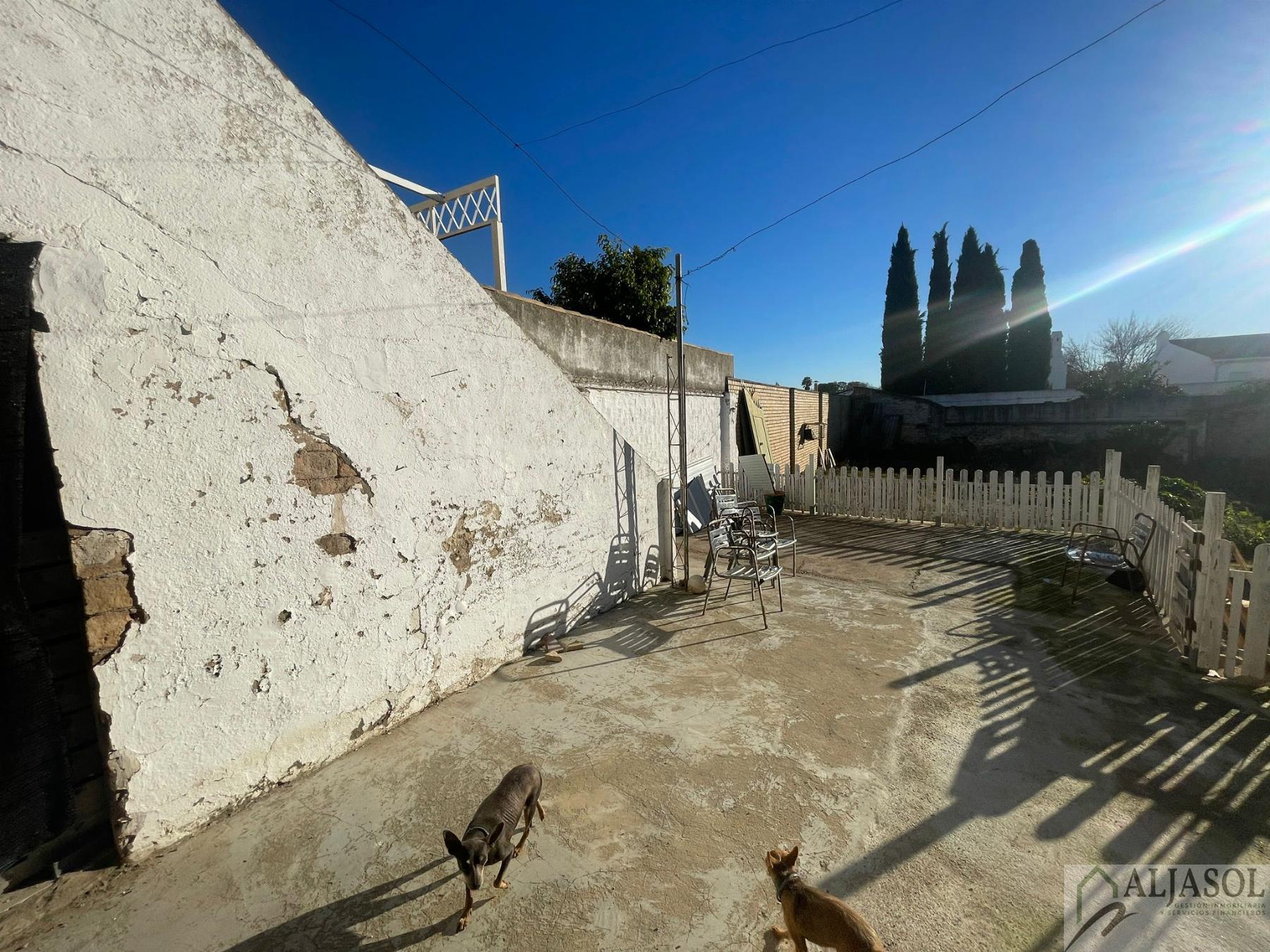 For sale of house in Salteras