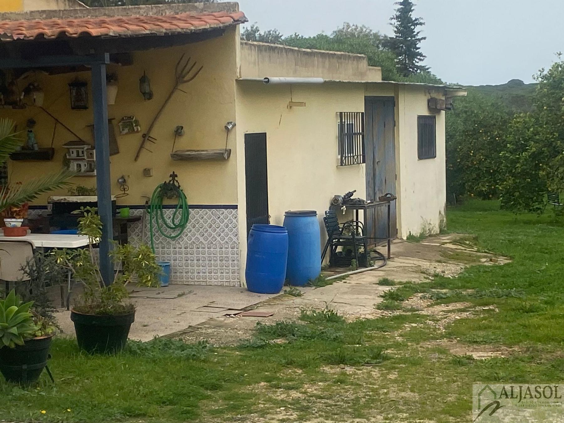 For sale of rural property in Hinojos