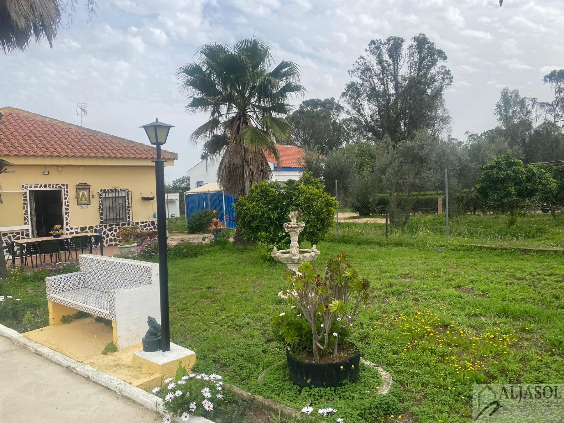 For sale of rural property in Hinojos
