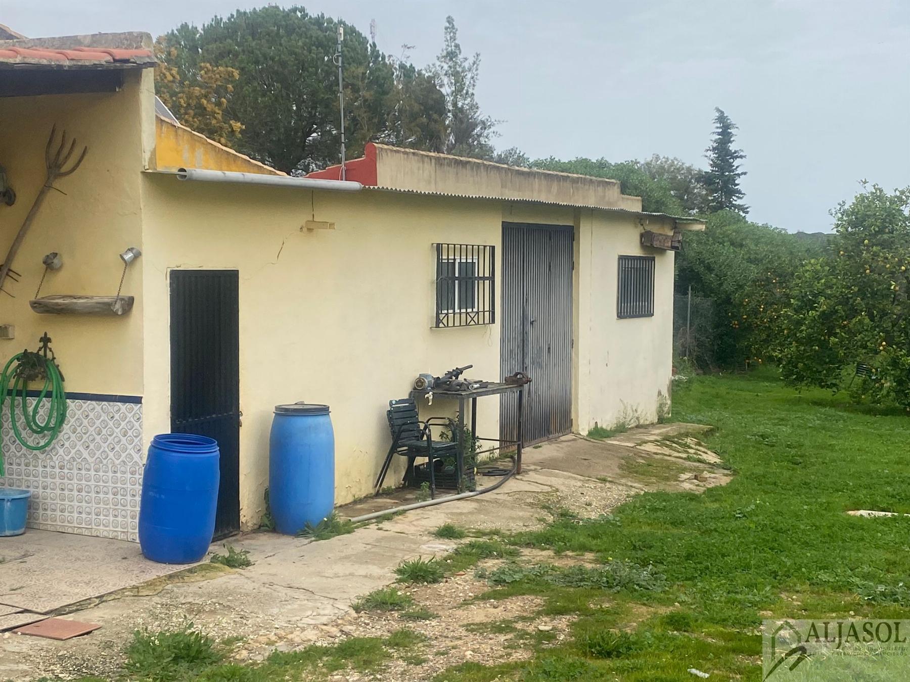 For sale of rural property in Hinojos