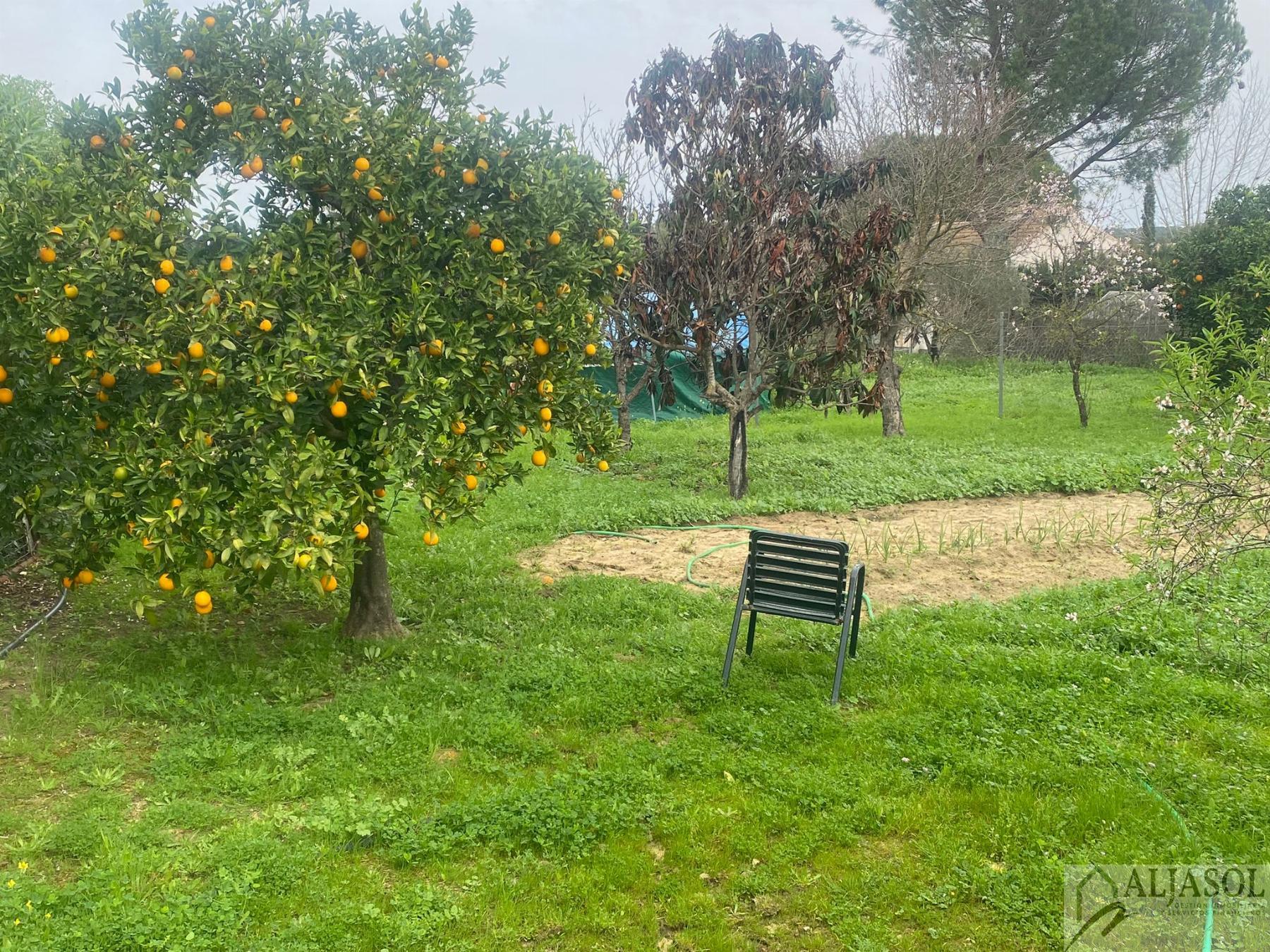 For sale of rural property in Hinojos
