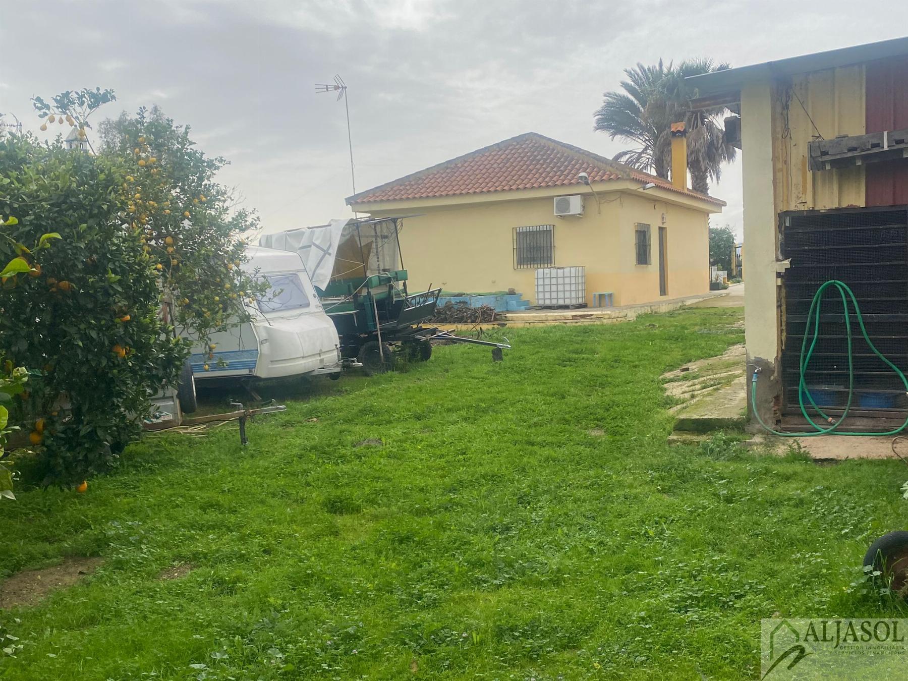 For sale of rural property in Hinojos
