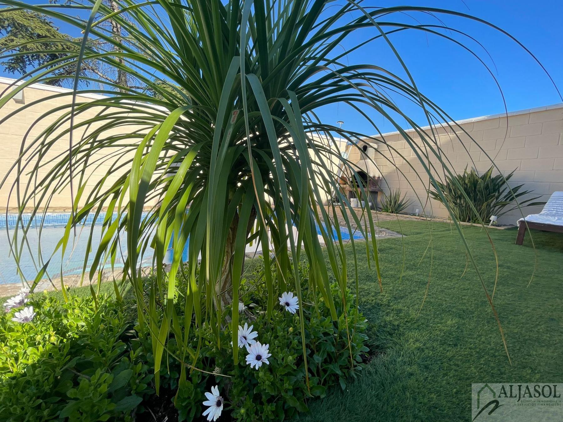 Venta de casa en Bollullos de la Mitación