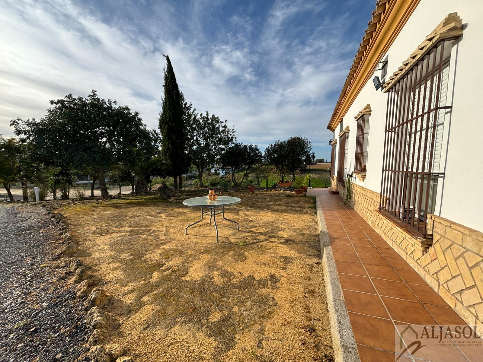 Venta de terreno en Sanlúcar la Mayor