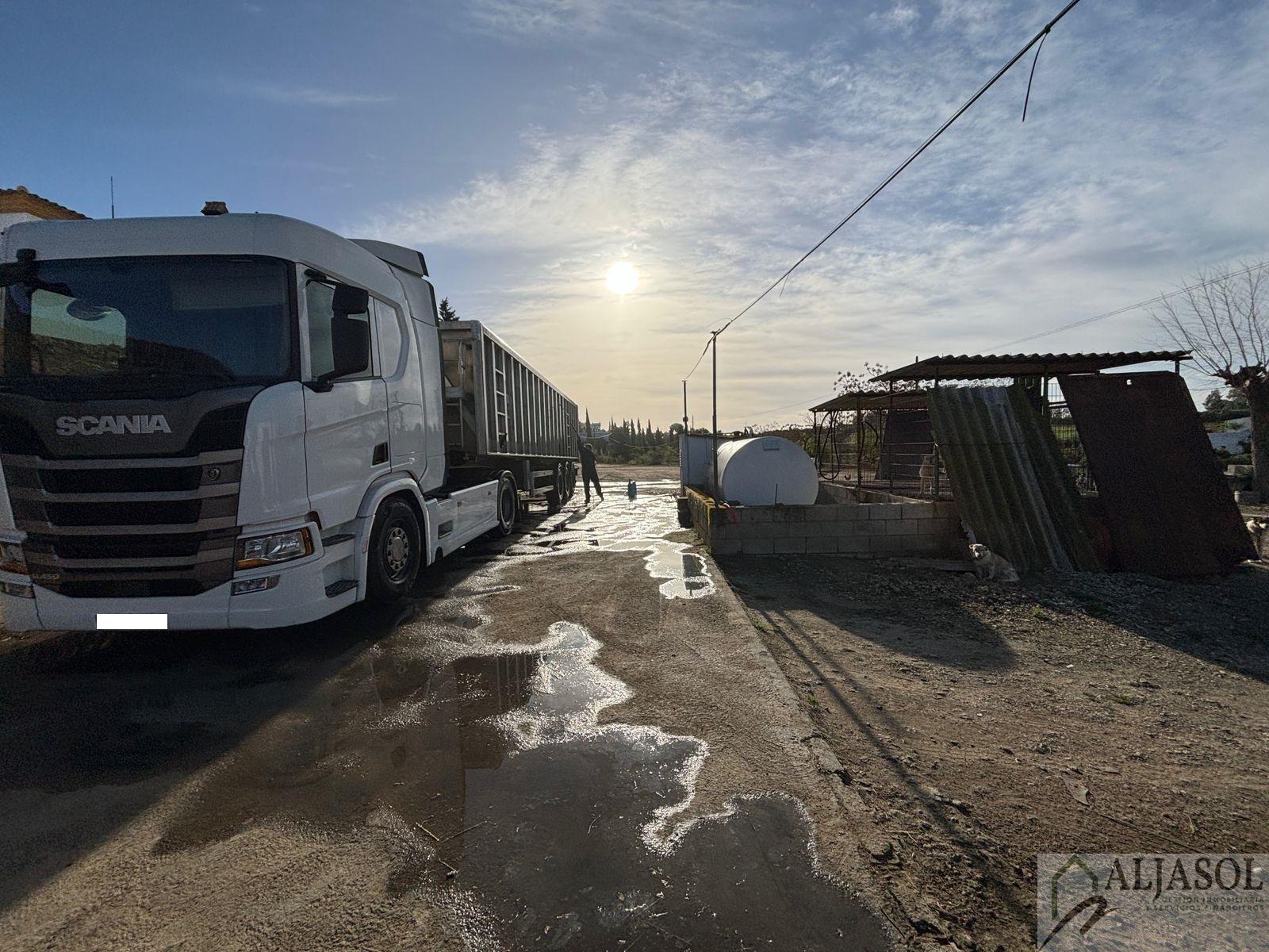 Venta de terreno en Sanlúcar la Mayor