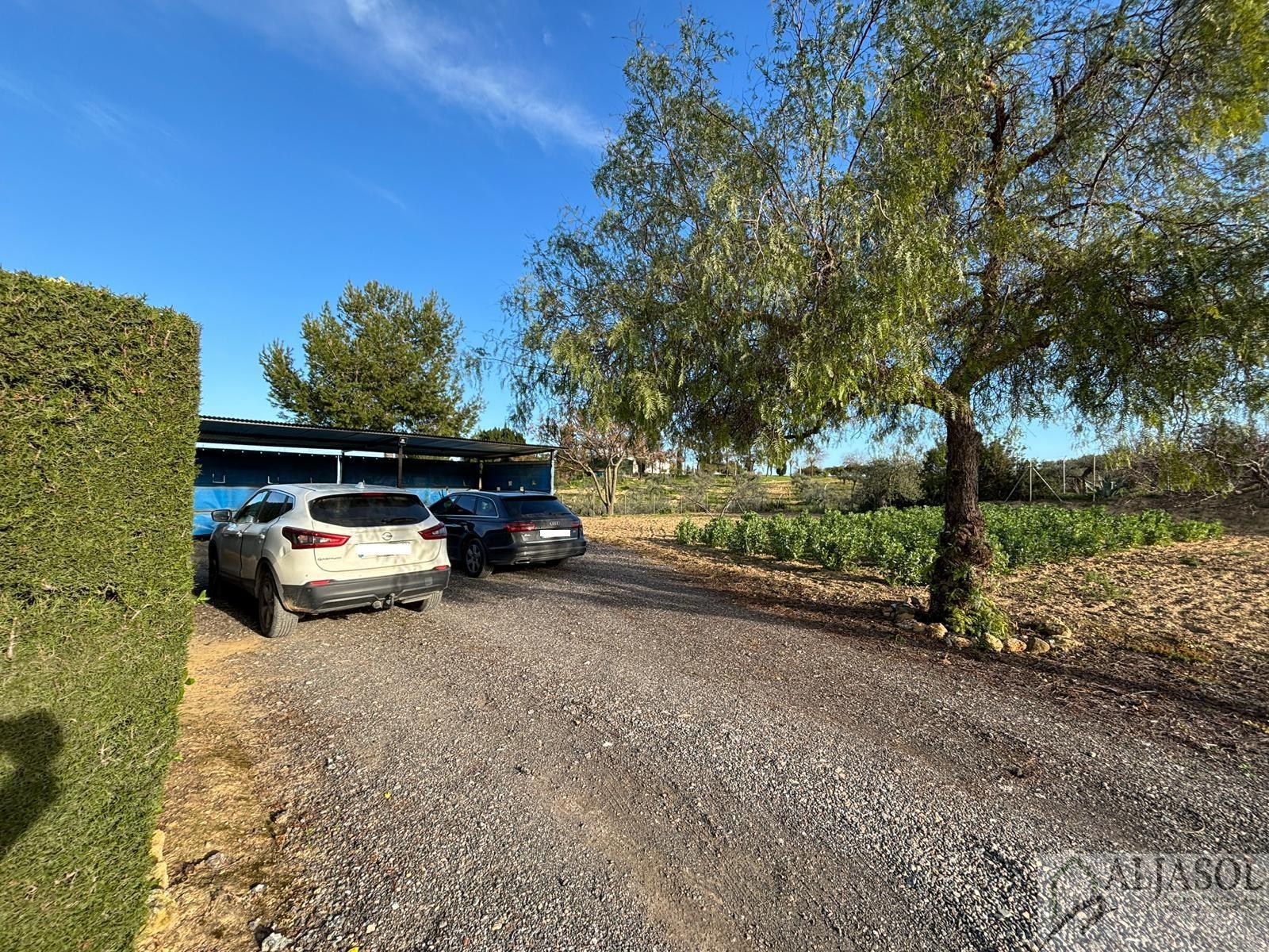 Venta de terreno en Sanlúcar la Mayor