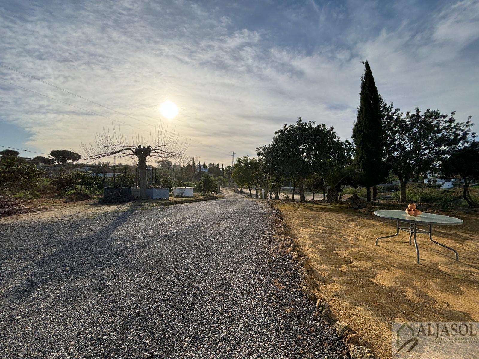 Venta de terreno en Sanlúcar la Mayor