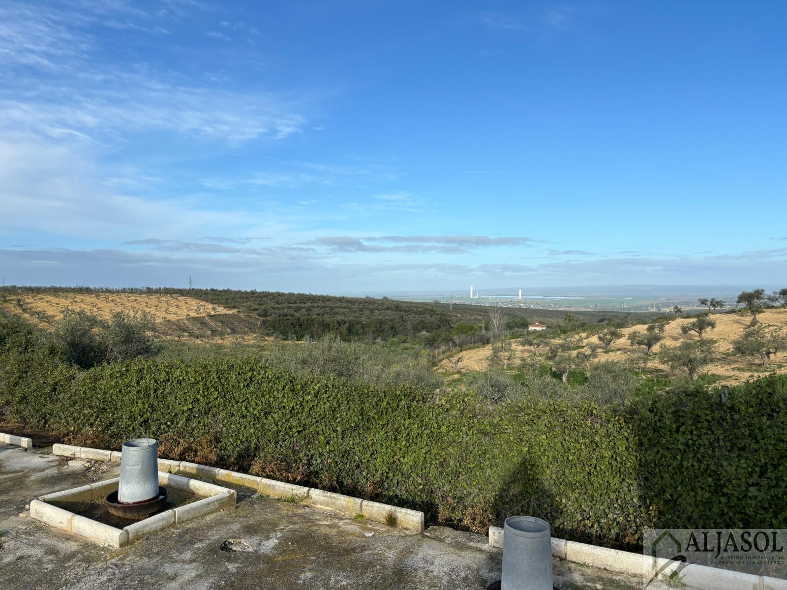 Venta de terreno en Sanlúcar la Mayor