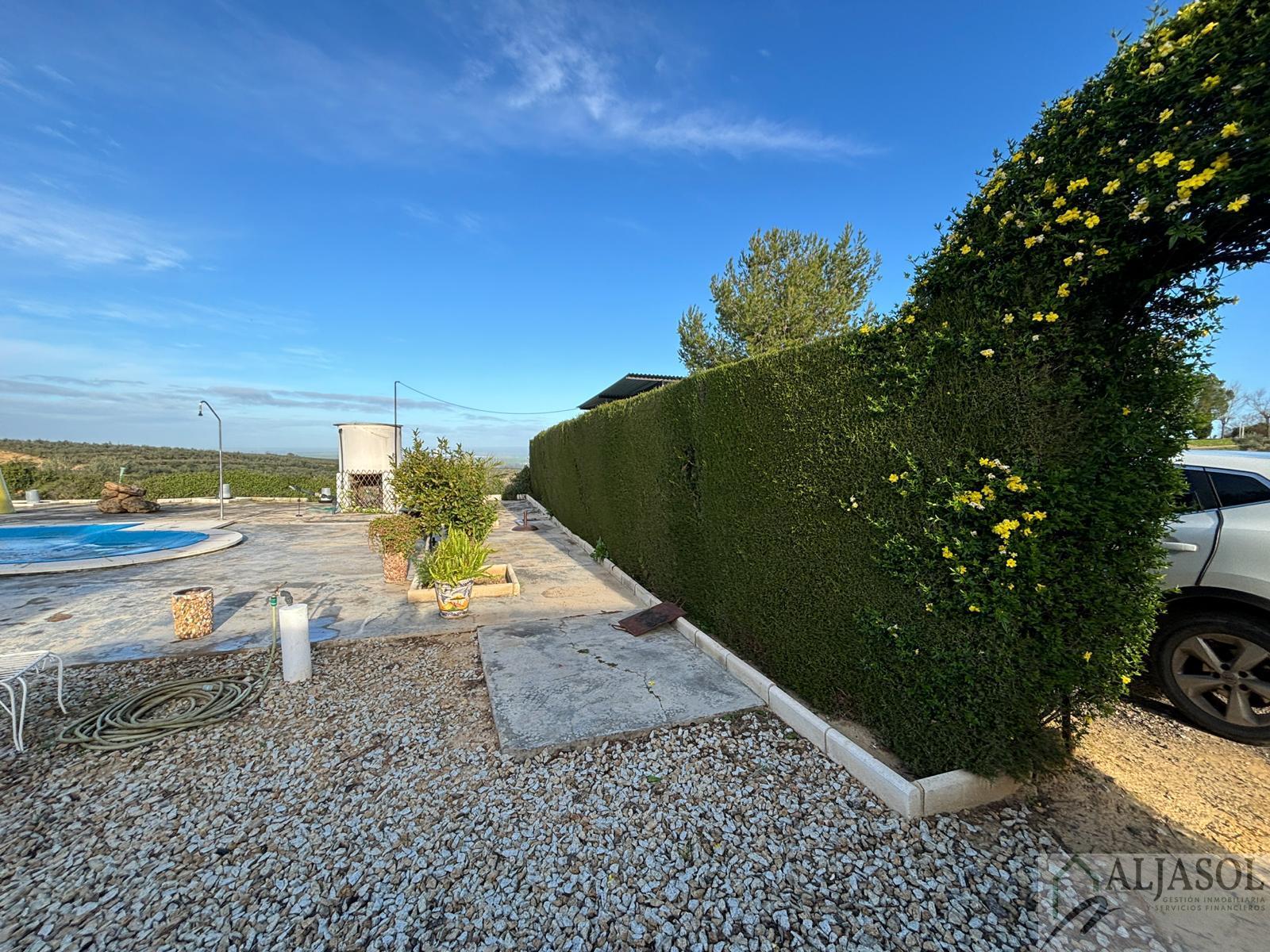 Venta de terreno en Sanlúcar la Mayor