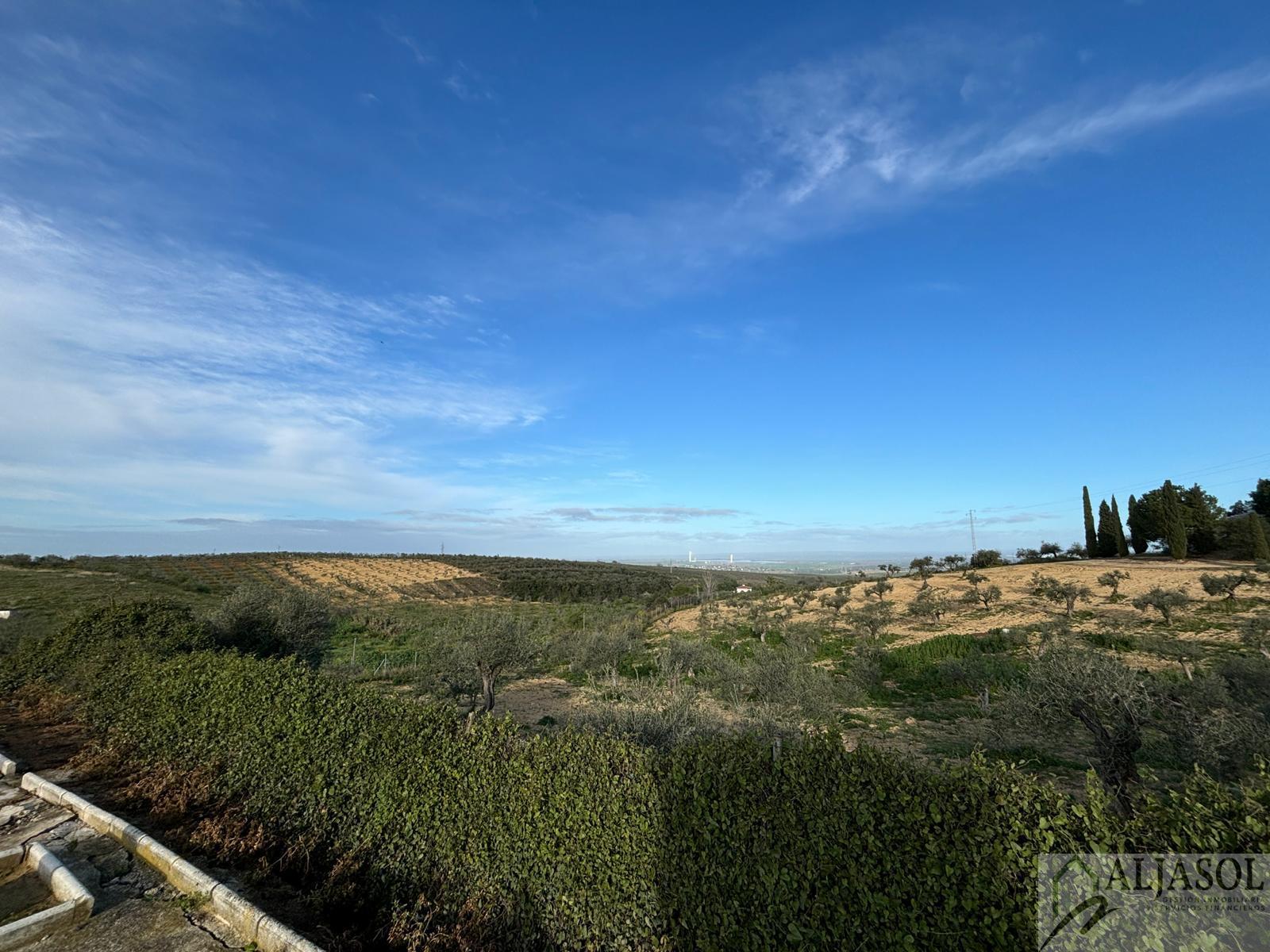 Venta de terreno en Sanlúcar la Mayor