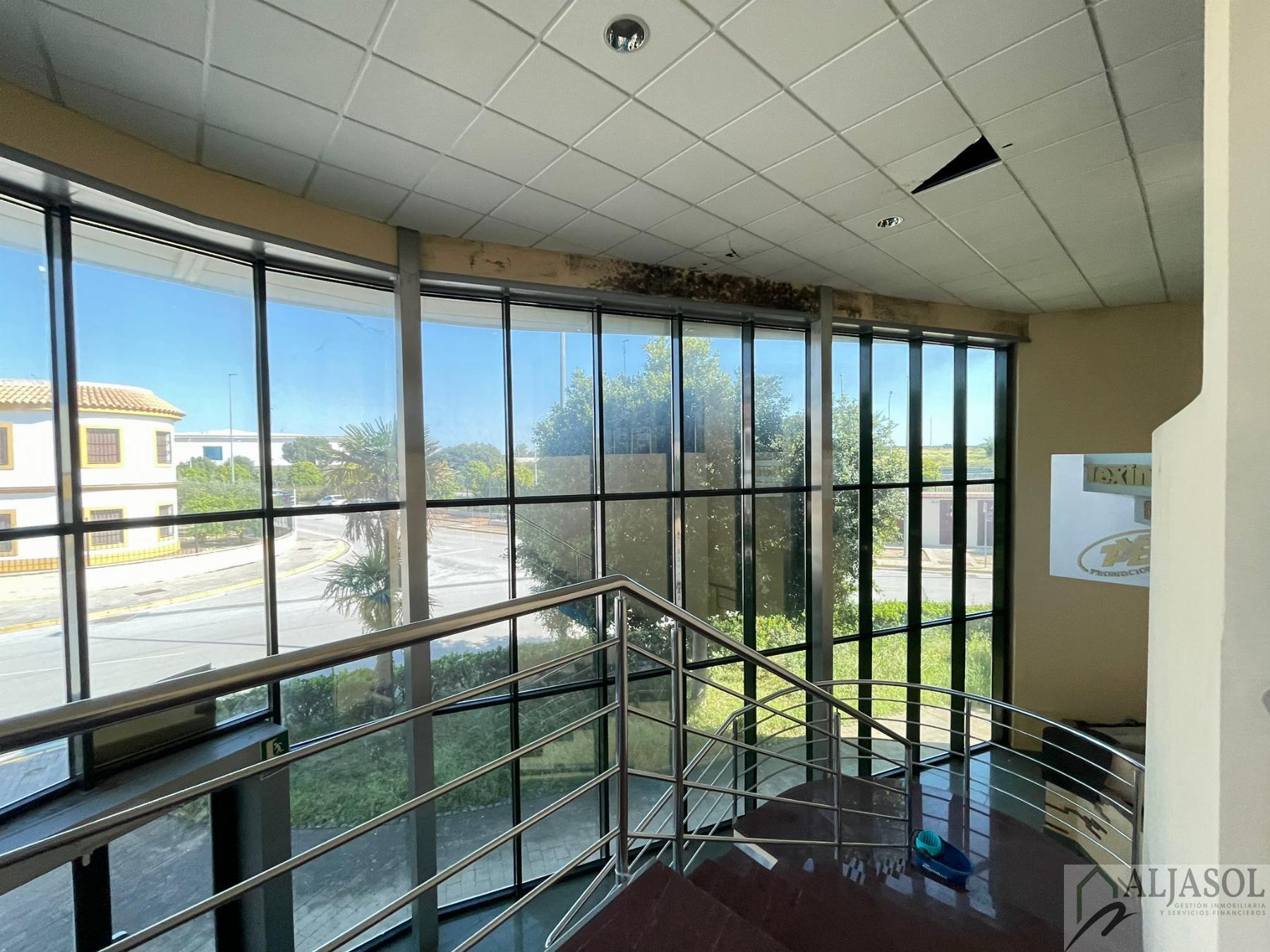 For sale of industrial plant/warehouse in Bollullos de la Mitación