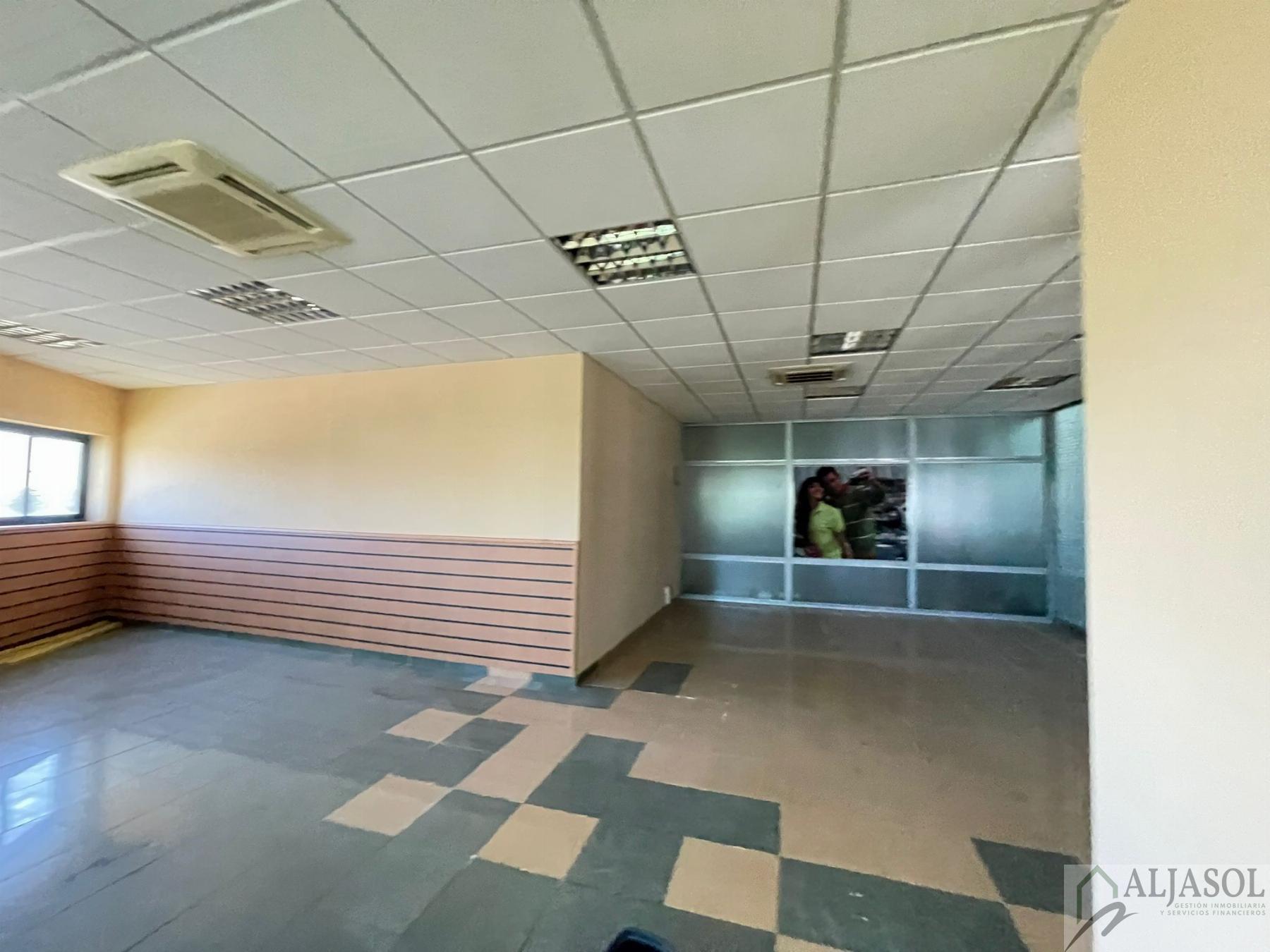 For sale of industrial plant/warehouse in Bollullos de la Mitación